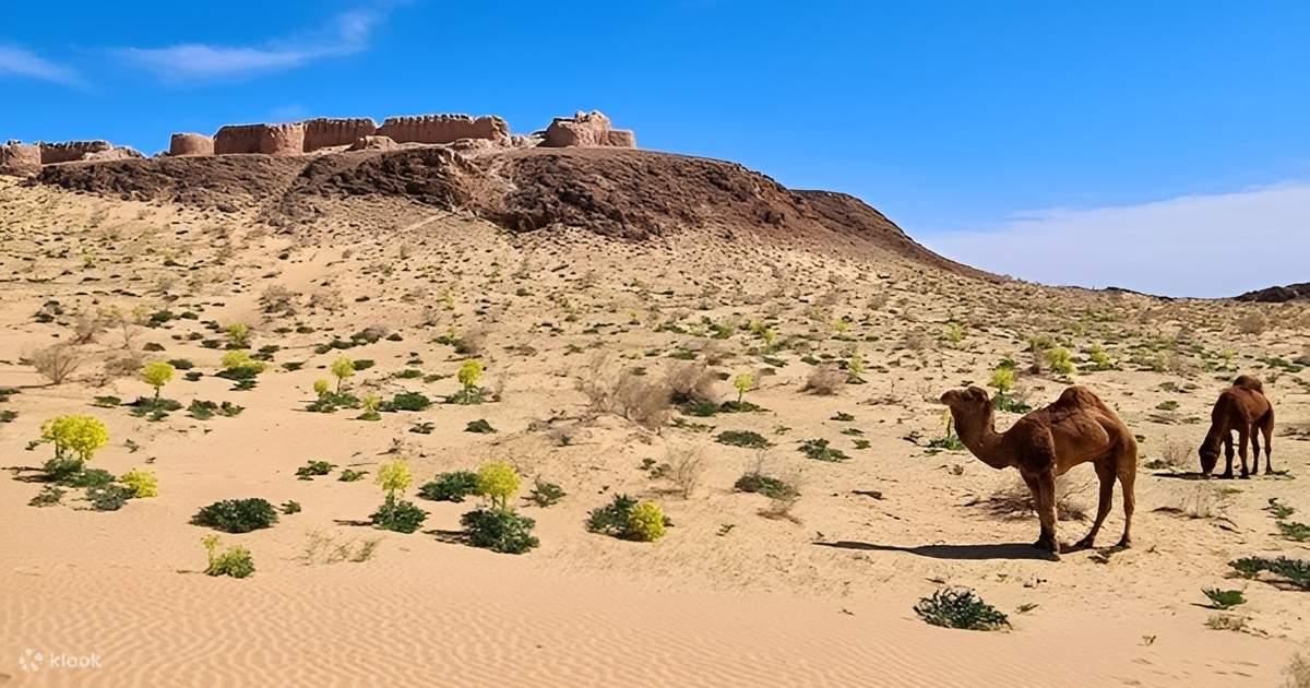 All In 2-Day Khiva Tour: 5 fortress & Yurt Camp, Itchan Kala 2