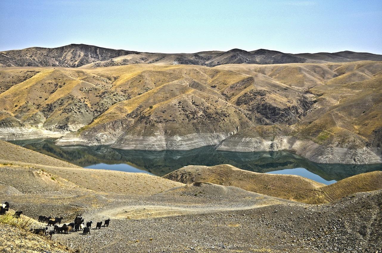 Tashkent: Zomin National Park Day Trip with Cable Car 2