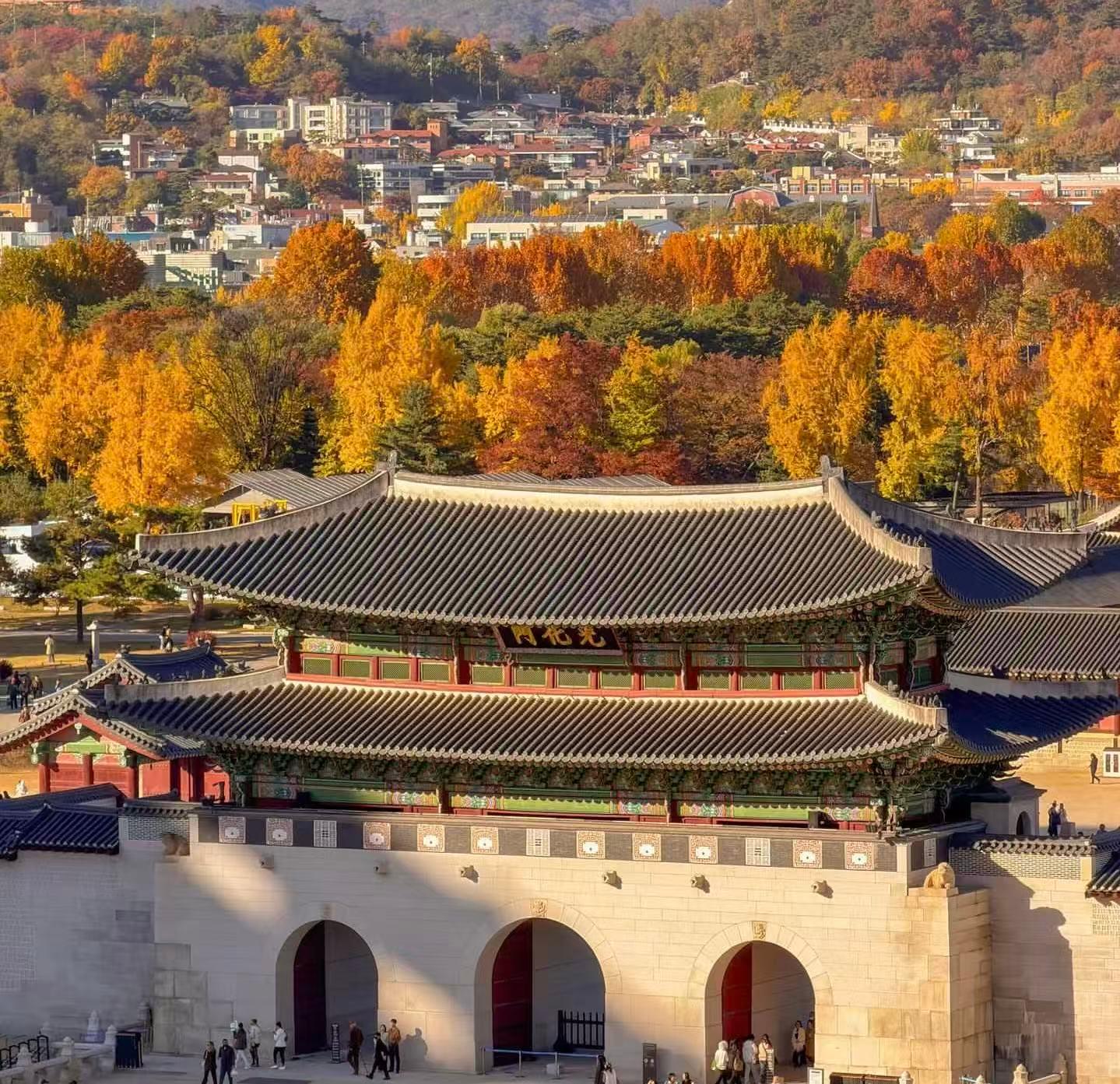 Seoul:Small Group Tour, Hanbok Rental&Palace【CHINESE Driver】 2
