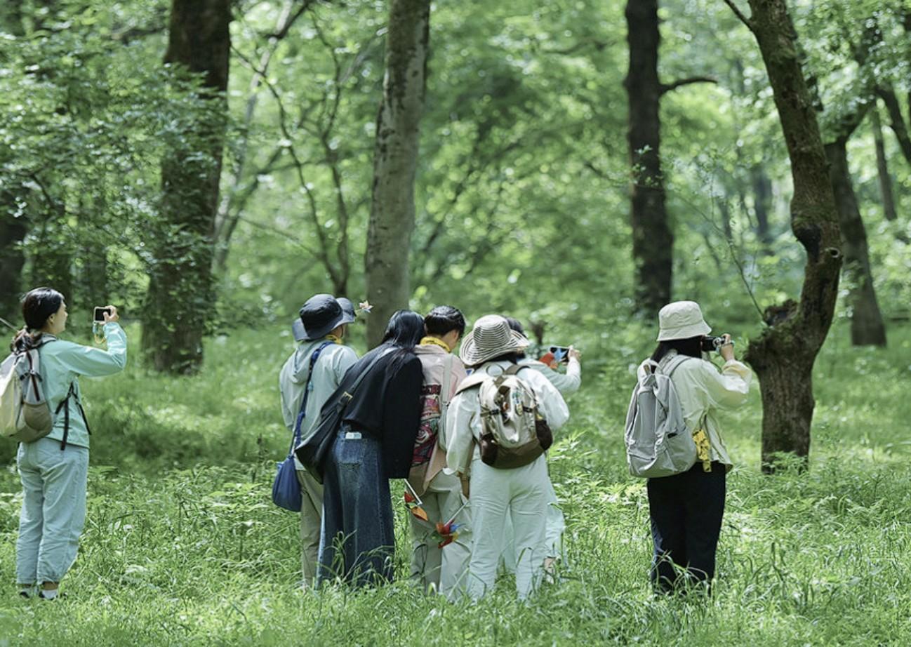 Hangzhou: Tongzhou River Island & Fruit Picking Day Trip