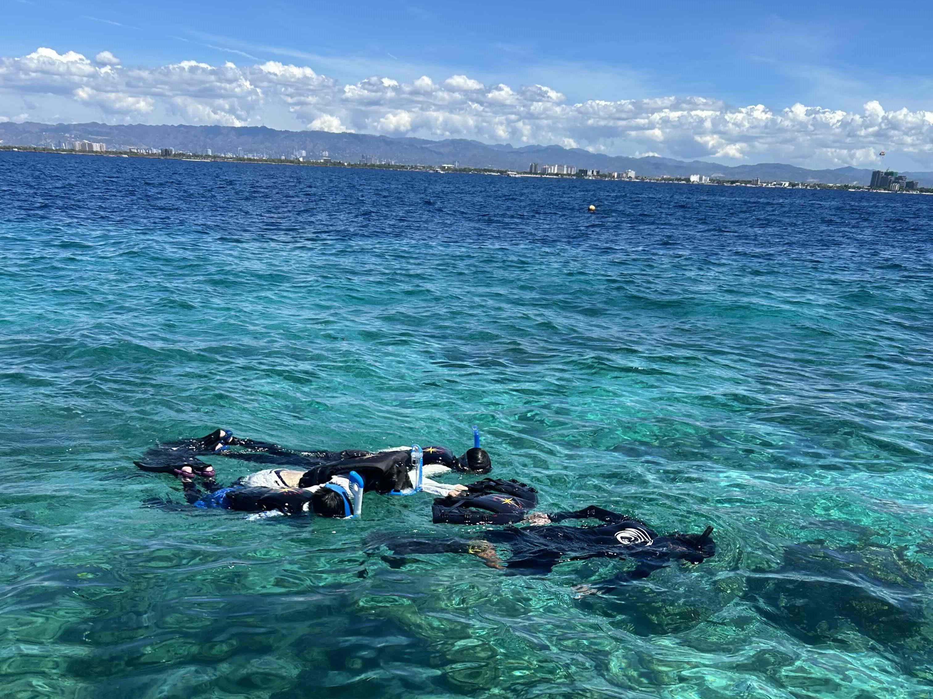 Cebu: San Vicente Marine Sanctuary Snorkeling Tour 3