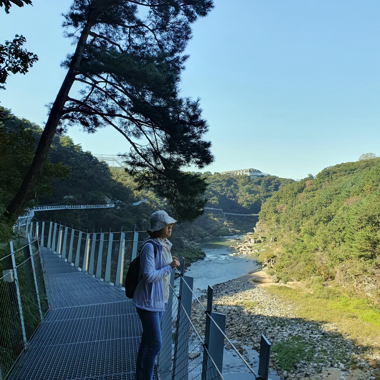 Cheorwon Hantangang GEO Park Skywalk, and Temple Day Tour 2