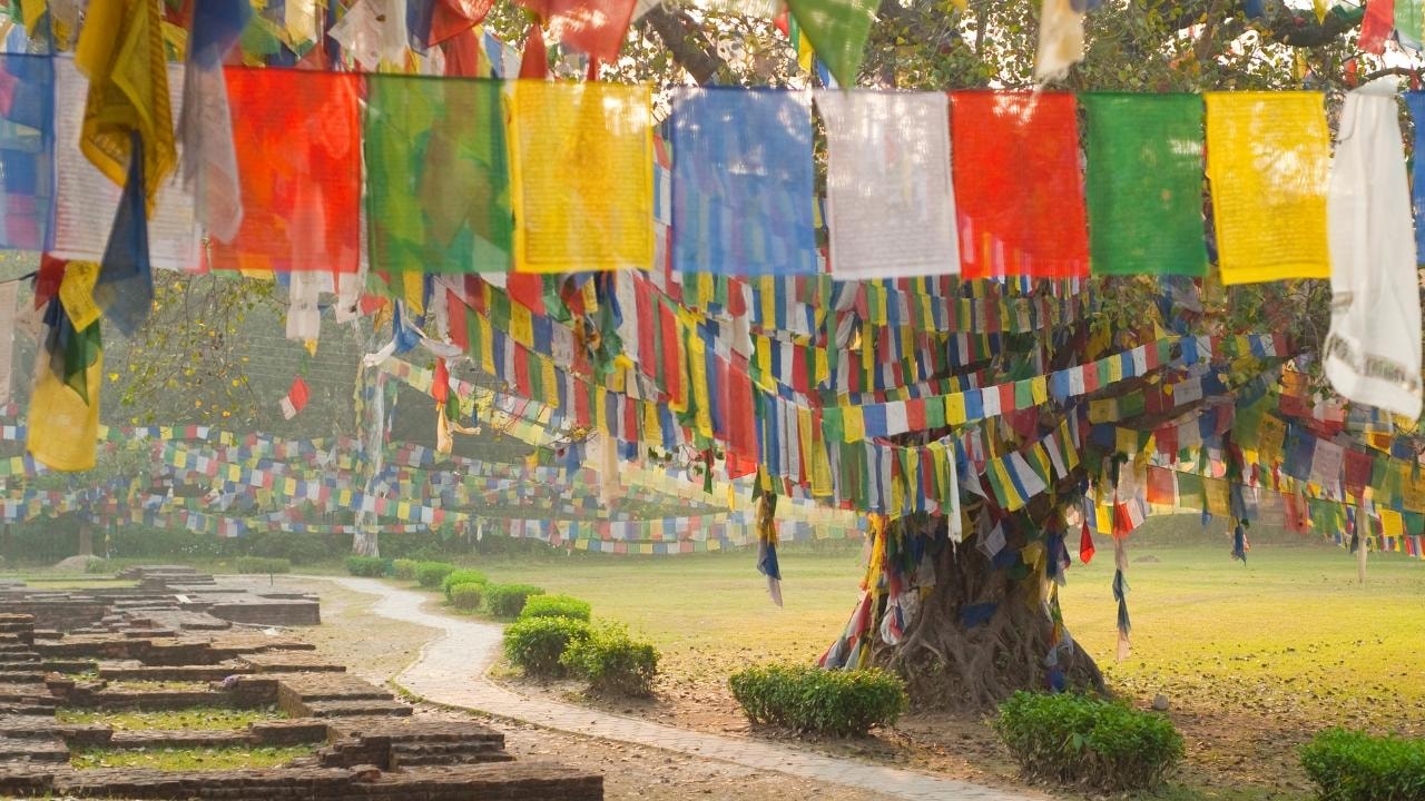 Lumbini: Guided Day Trip with Airport Transfers & Overnight — guided tour in Lumbini