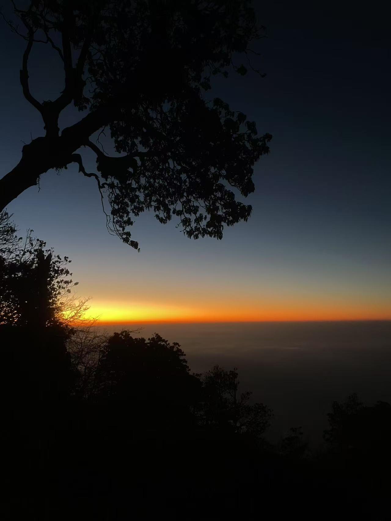 From Pokhara: Mardi Himal Trek to 4,495-Meter Base Camp 2