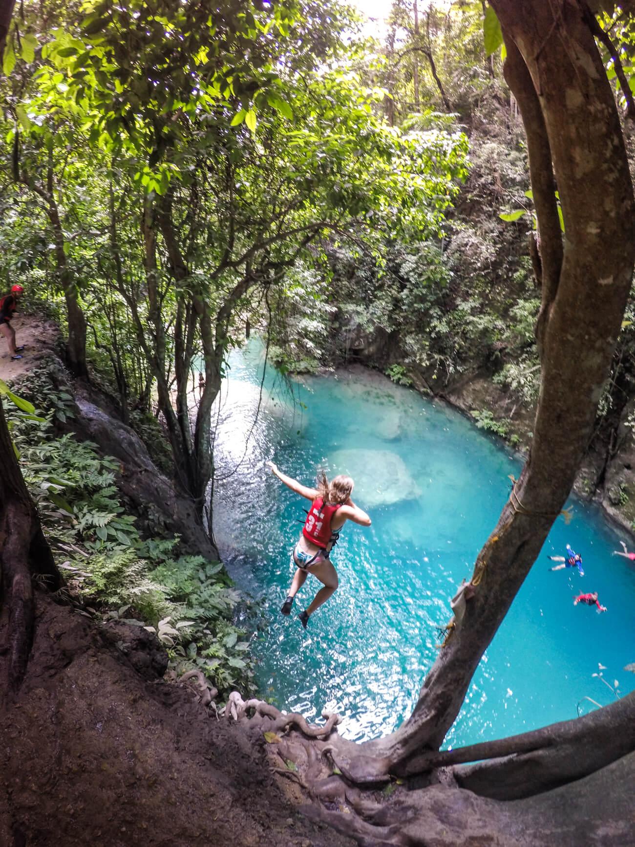 Dumaguete: Whale Shark Snorkeling & Canyoneering Tour