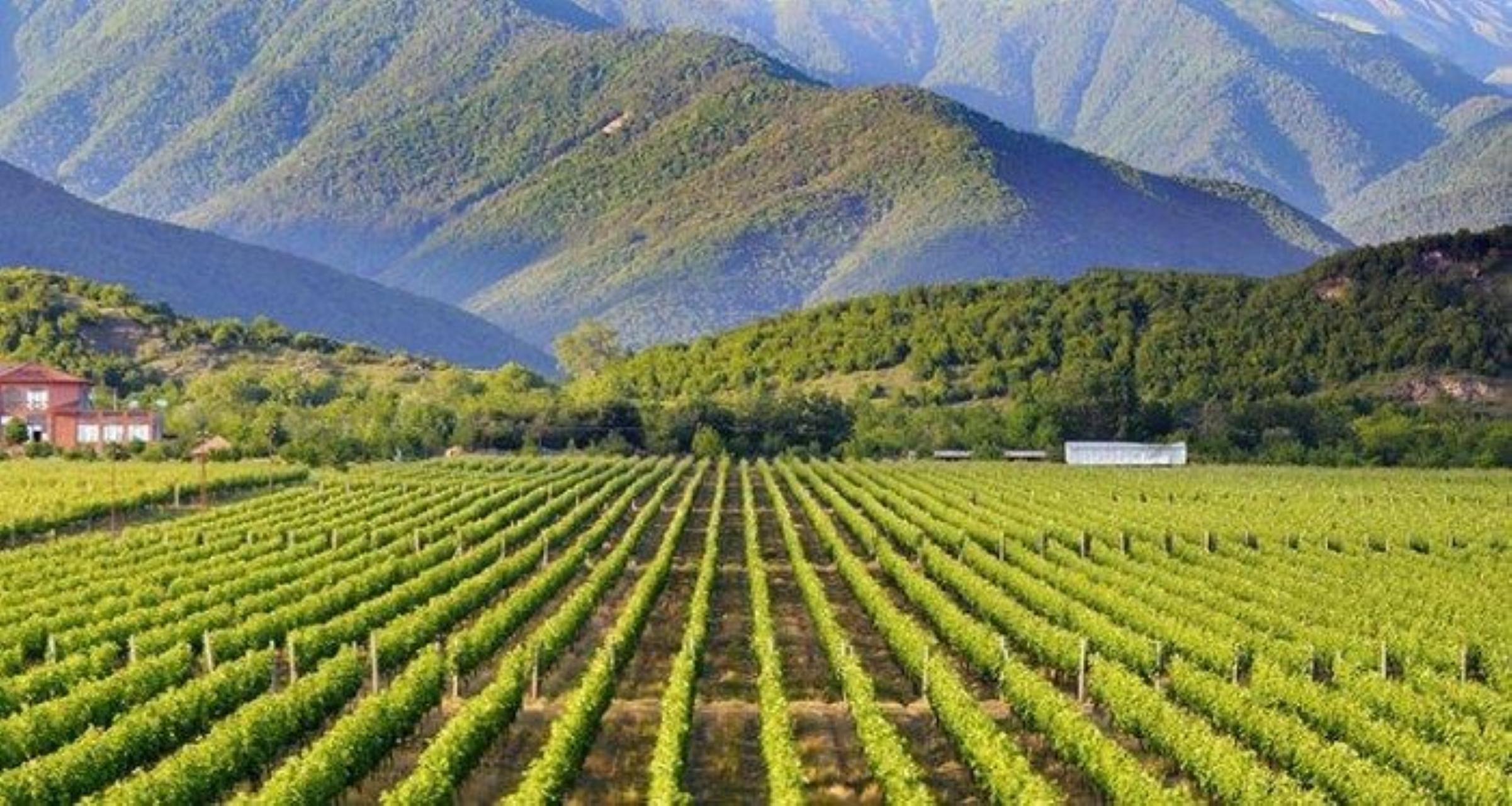 Tbilisi: Kakheti Wine Tour, Sighnaghi & Monasteries 3