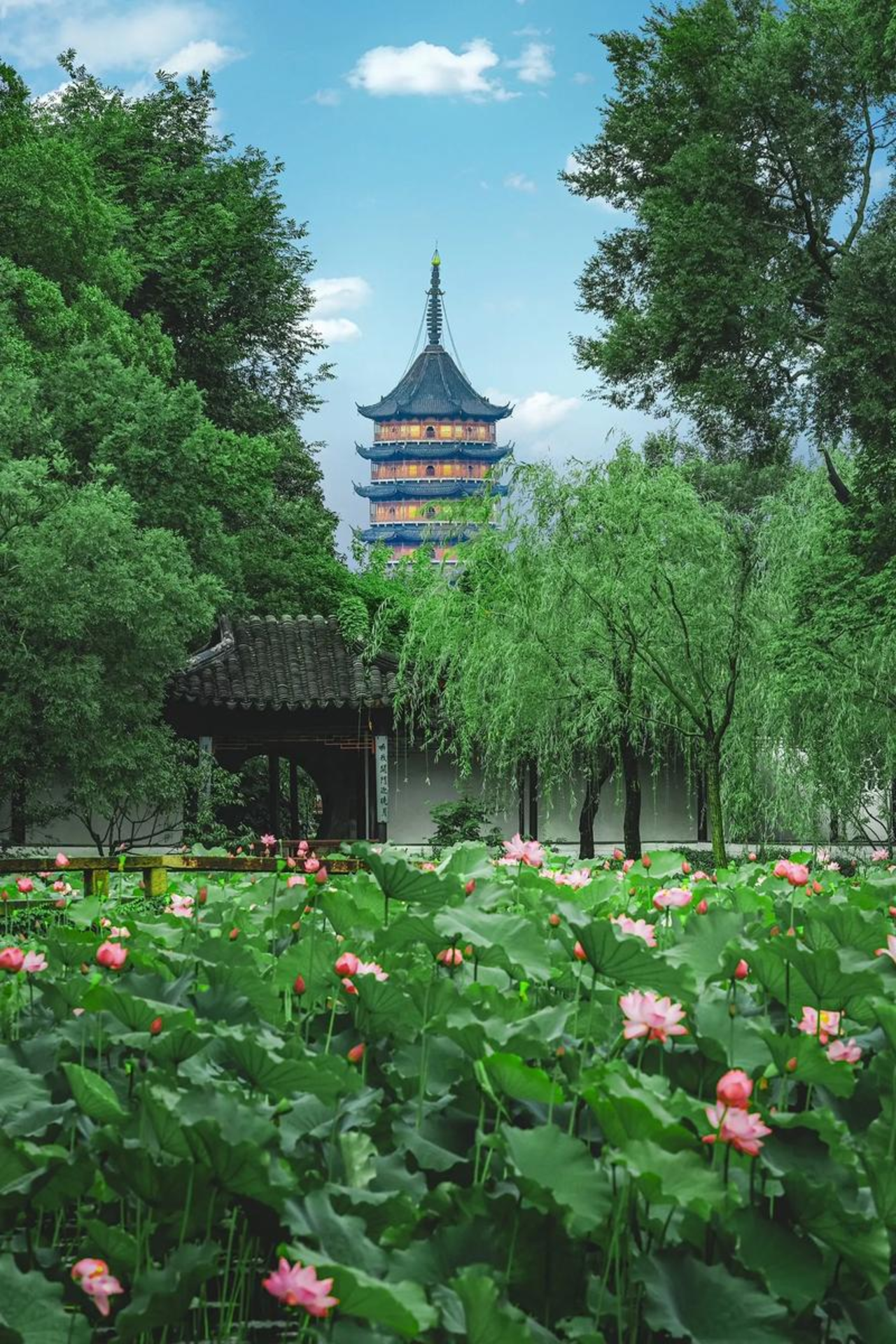From Shanghai: Suzhou Day Tour with Boat Ride & Bullet Train 2