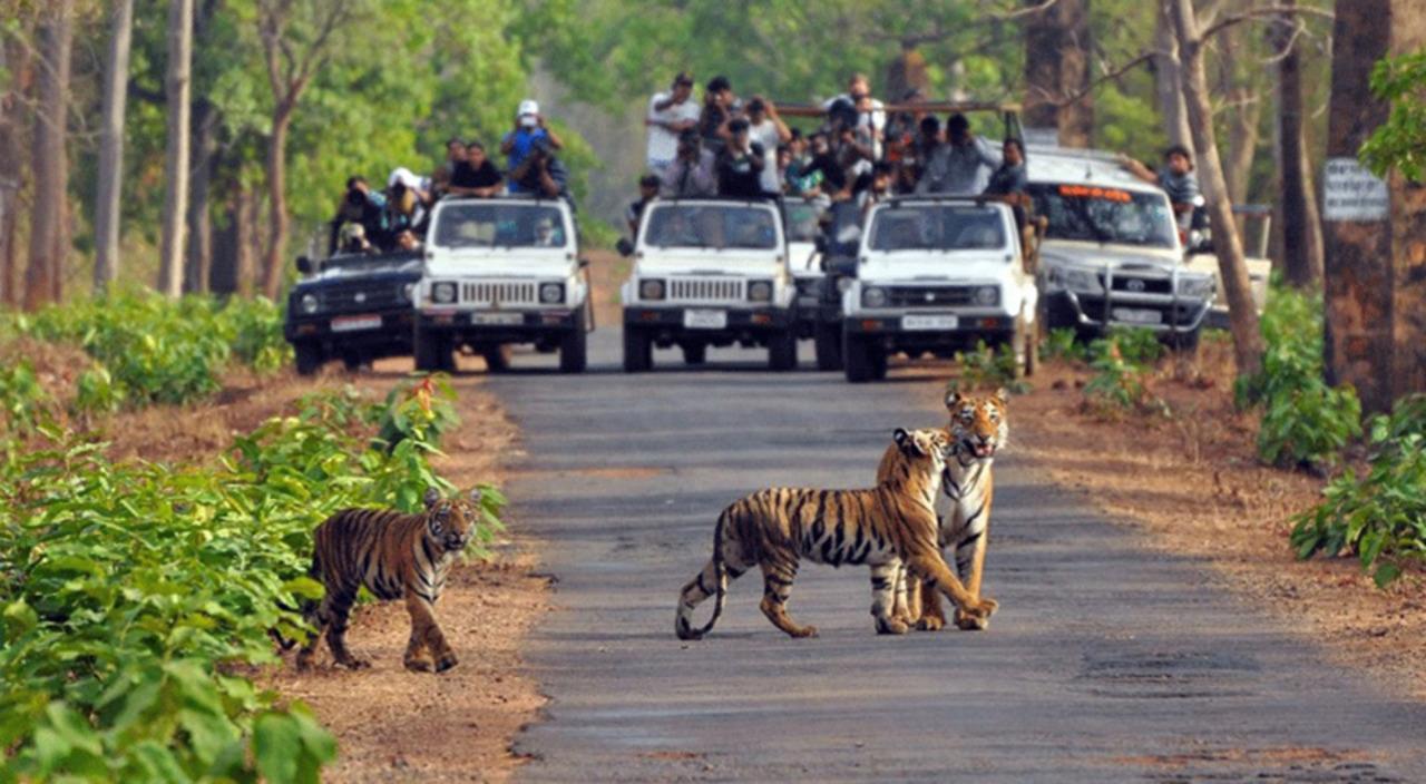Delhi: Jim Corbett 2-Days National Park Tour with Transfers