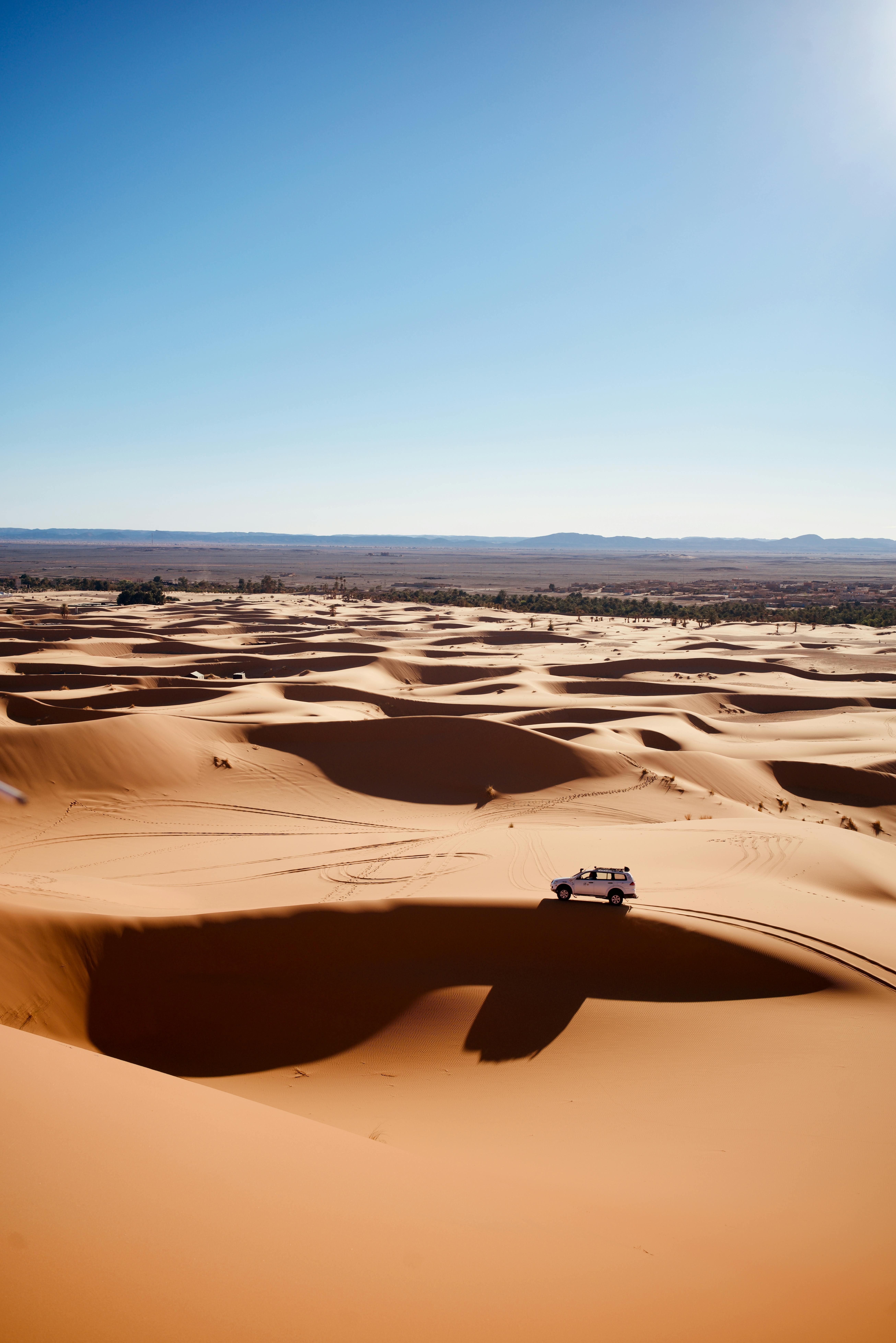 Qatar Desert Safari Tours 3