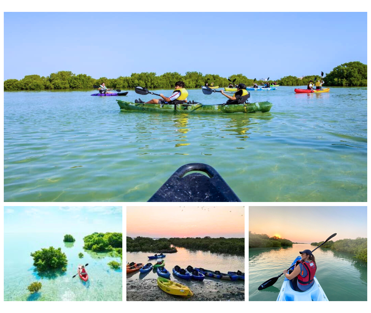 Qatar: Al Thakira Mangrove Forest Kayaking Tour
