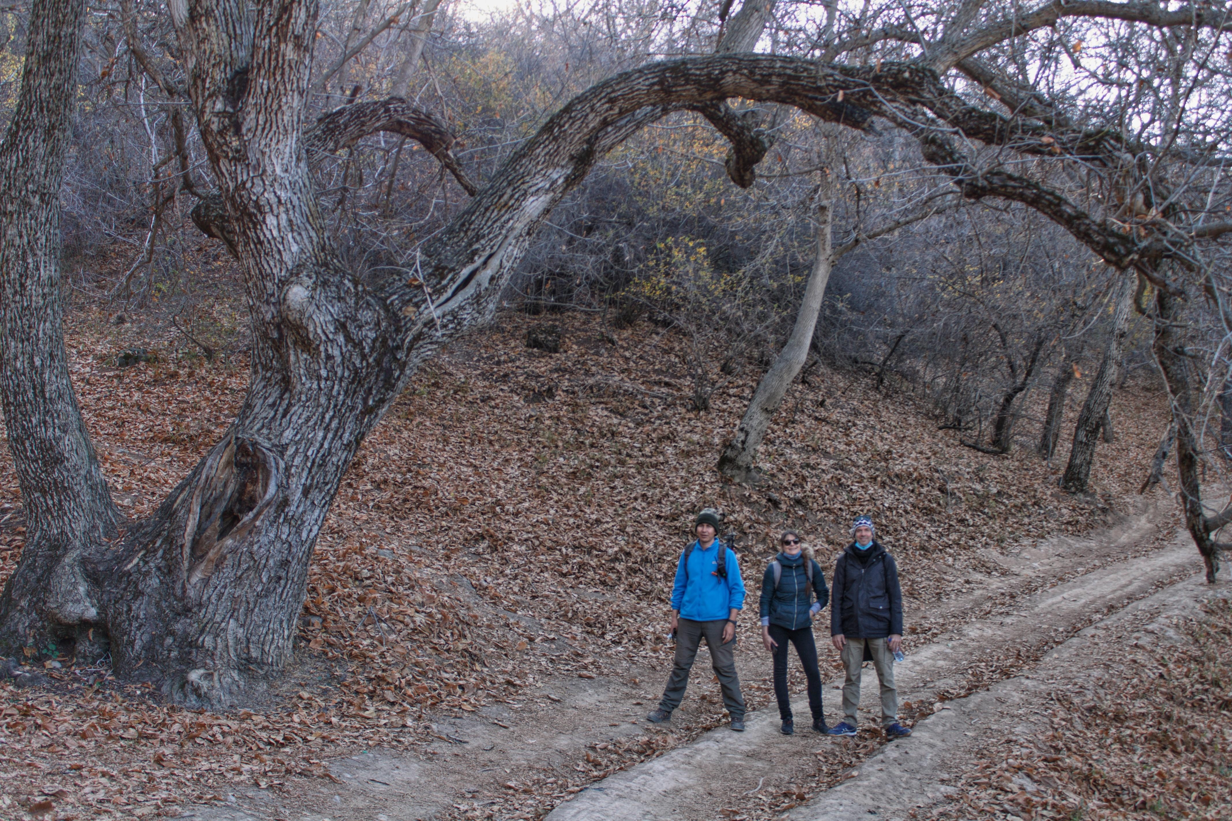 From Tashkent: 2-Day Western Tian-Shan Mountains Hiking Tour 3