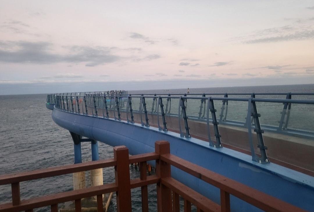 Busan: Private Tour for Cruise Passengers 3