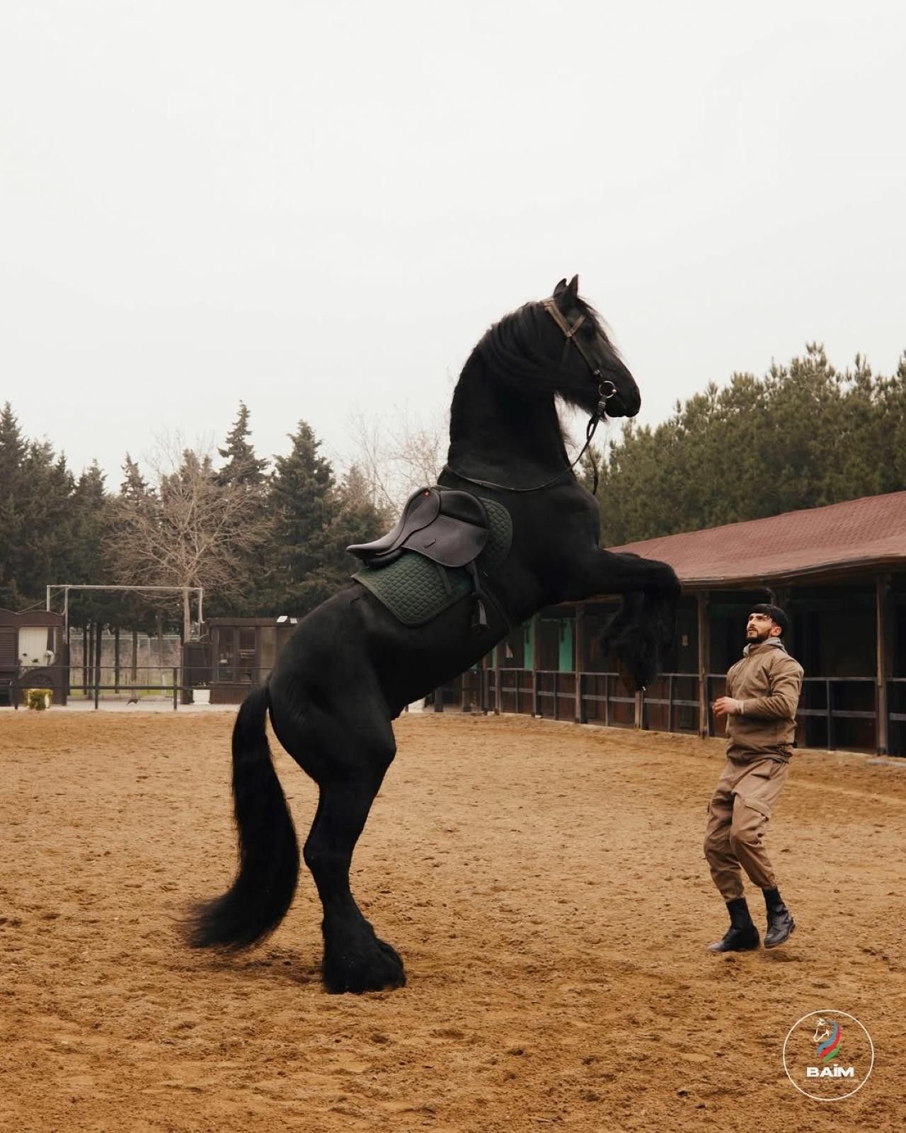 Baku Horse Riding Experience with World-Famous Breeds 3