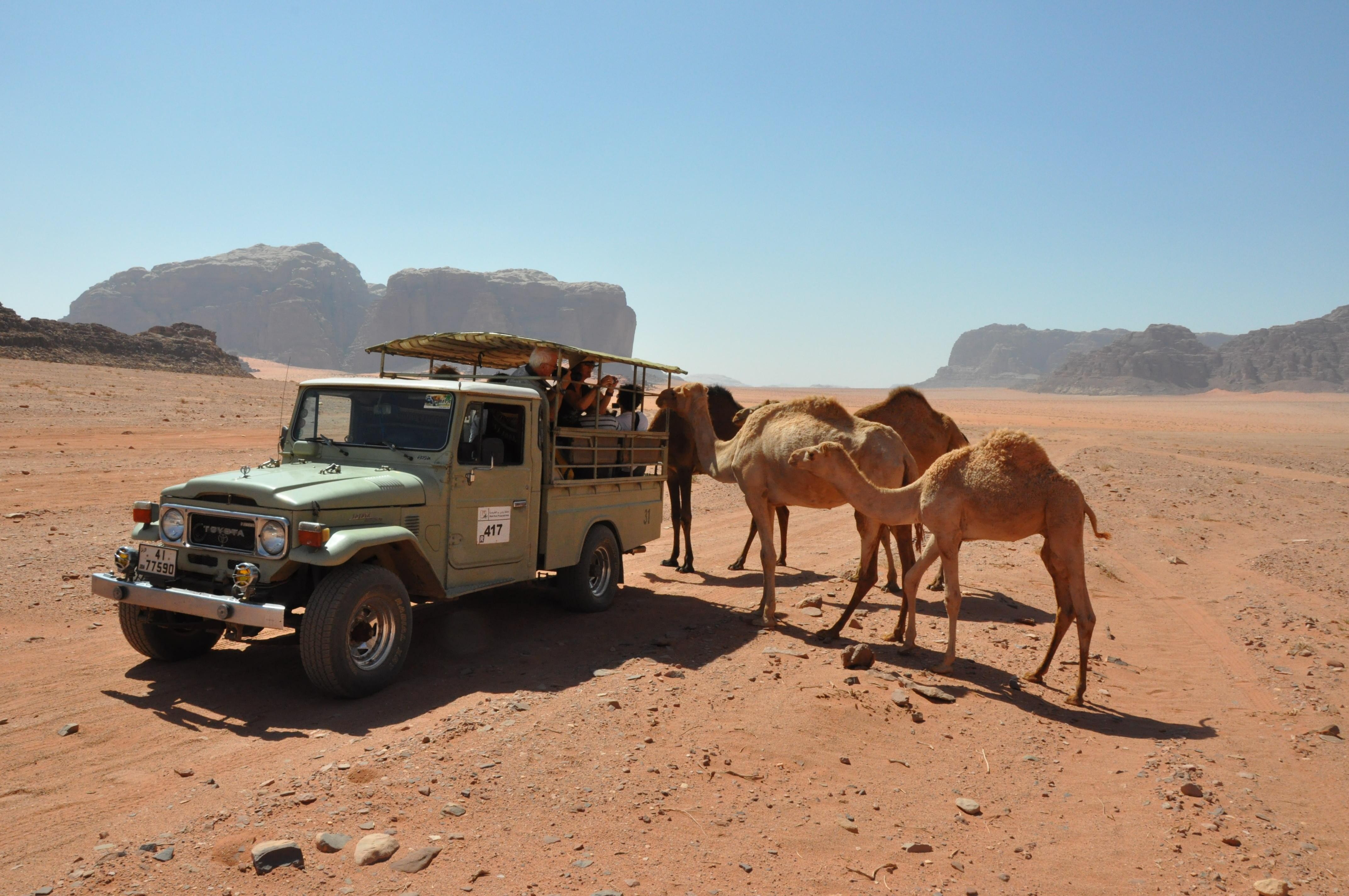 Wadi Rum: Bedouin Culture & Desert Jeep Adventure Tour