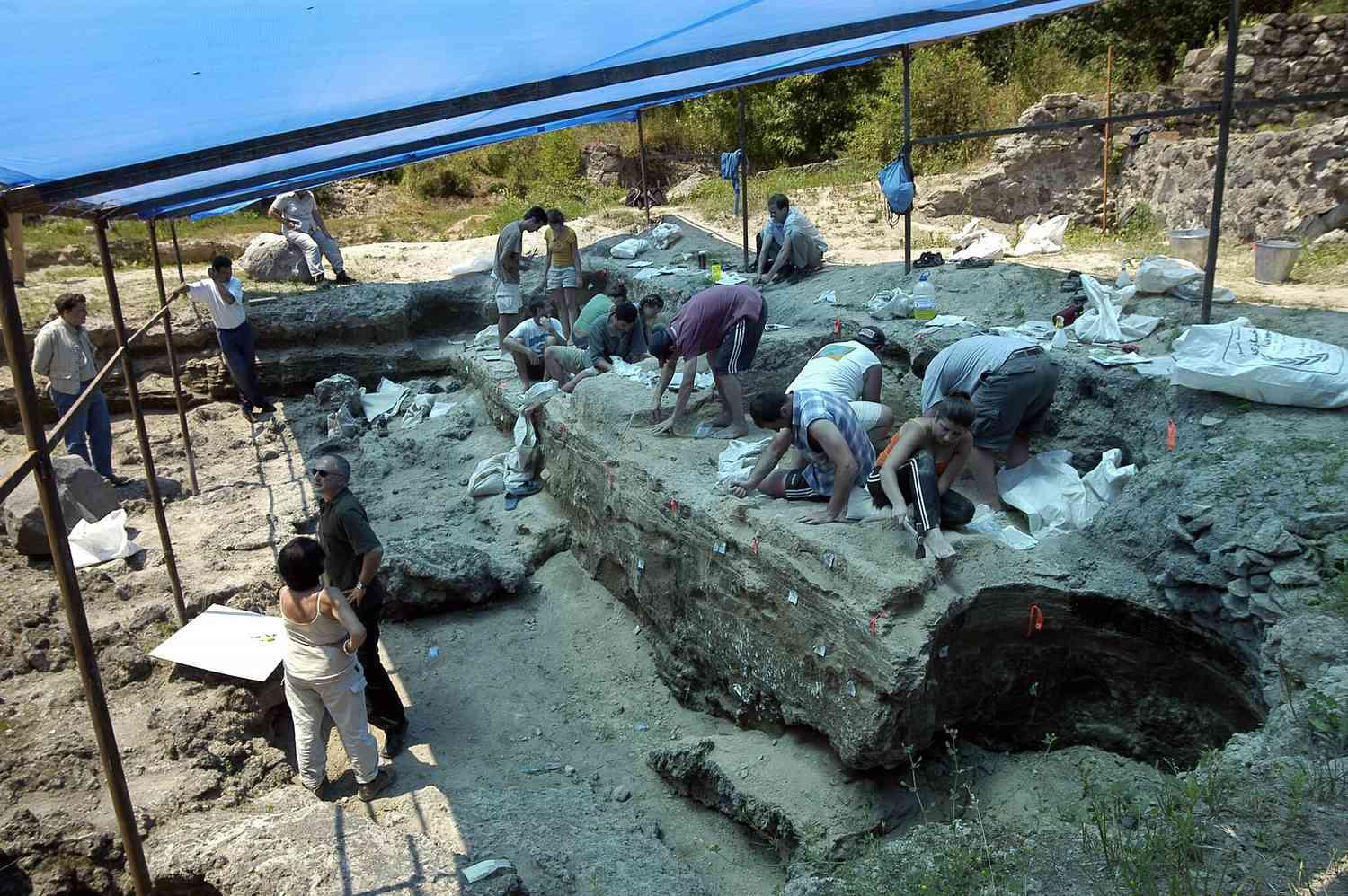 Tbilisi: Dmanisi Prehistoric Site & Old Town Tour 3