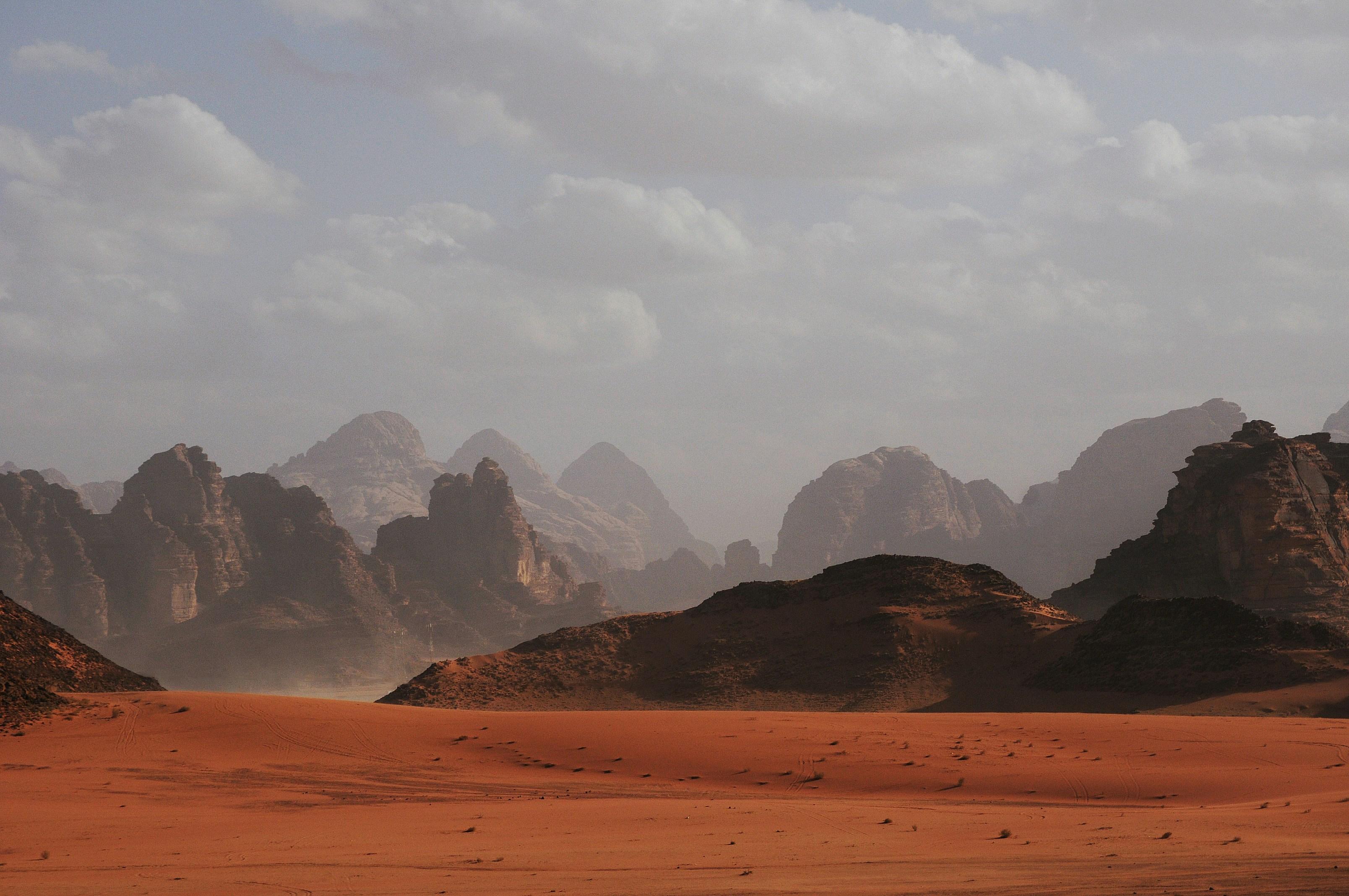 From Amman: 2-Day Private Tour to Petra & Wadi Rum 2