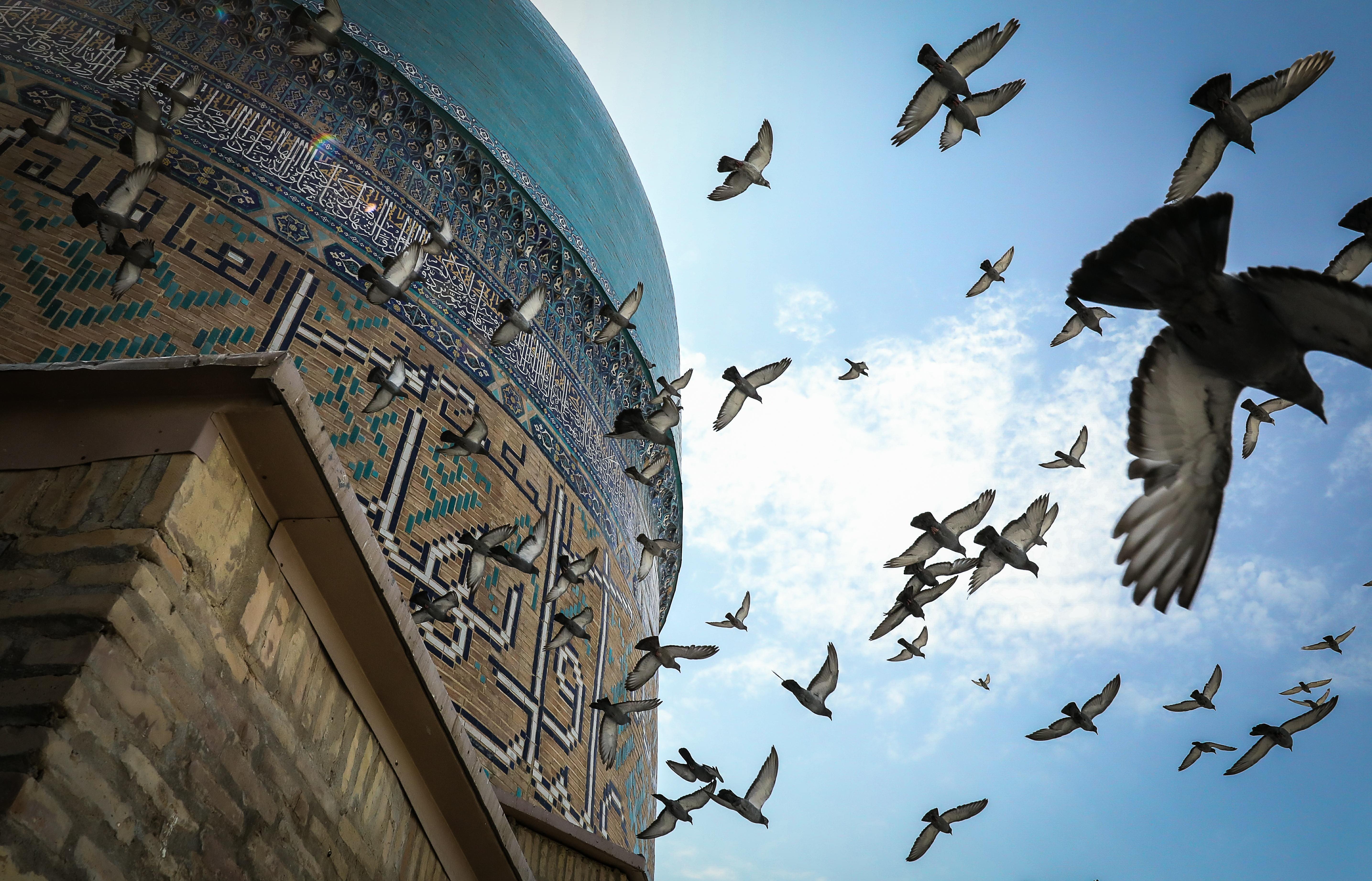 Tashkent: City Highlights Guided Tour with Hotel Pickup
