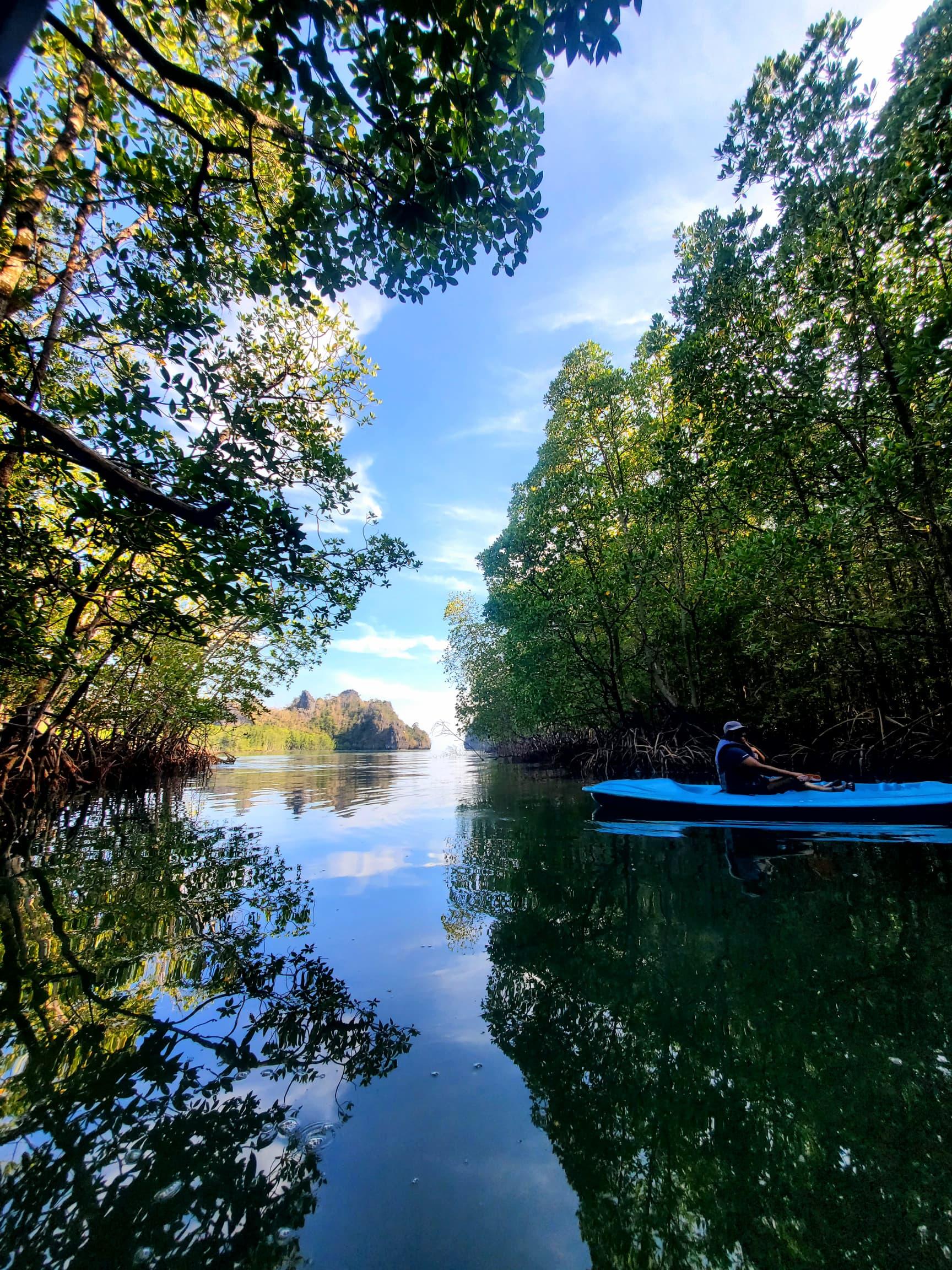 Langkawi: Golden Hour Mangrove Kayaking 2