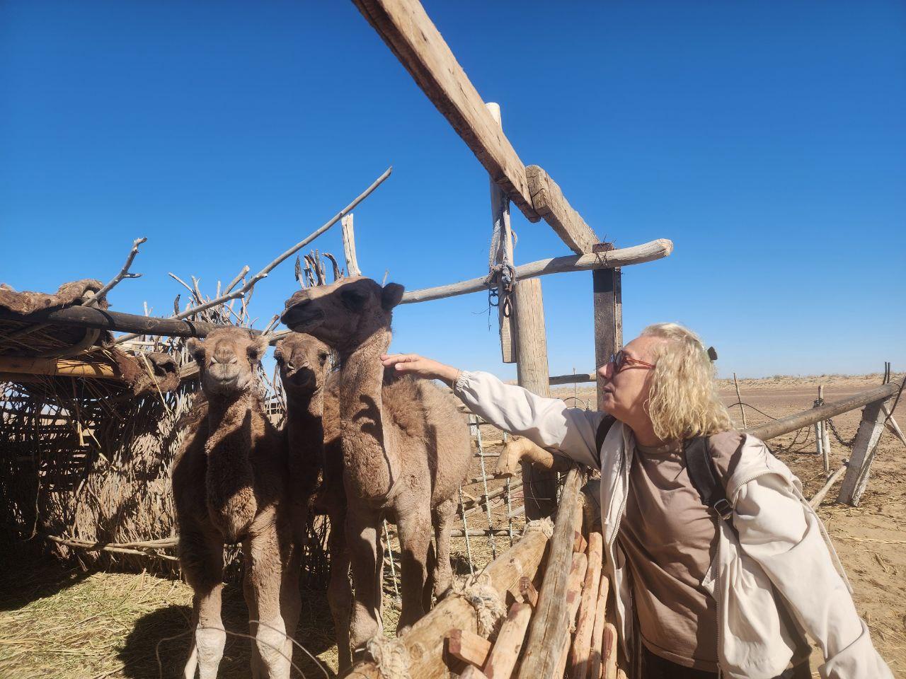 Khiva: Silk Road Tour 3