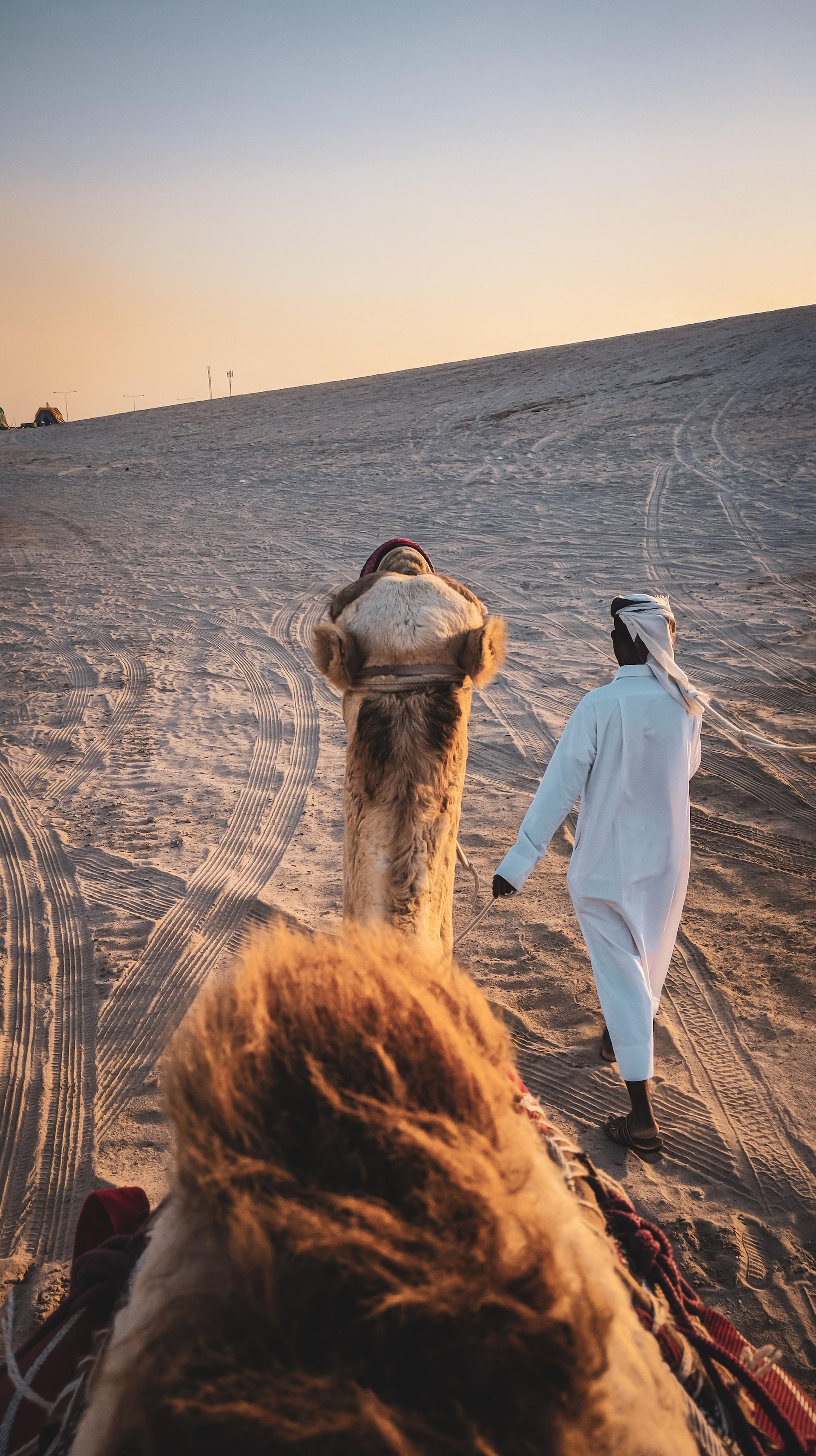 Private Doha Horse and Camel Ride in The Desert 3