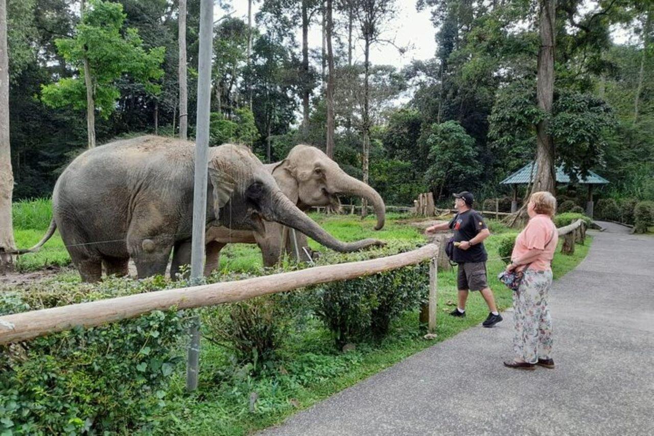 Kuala Lumpur: Kuala Gandah and Batu Caves Private Trip 2