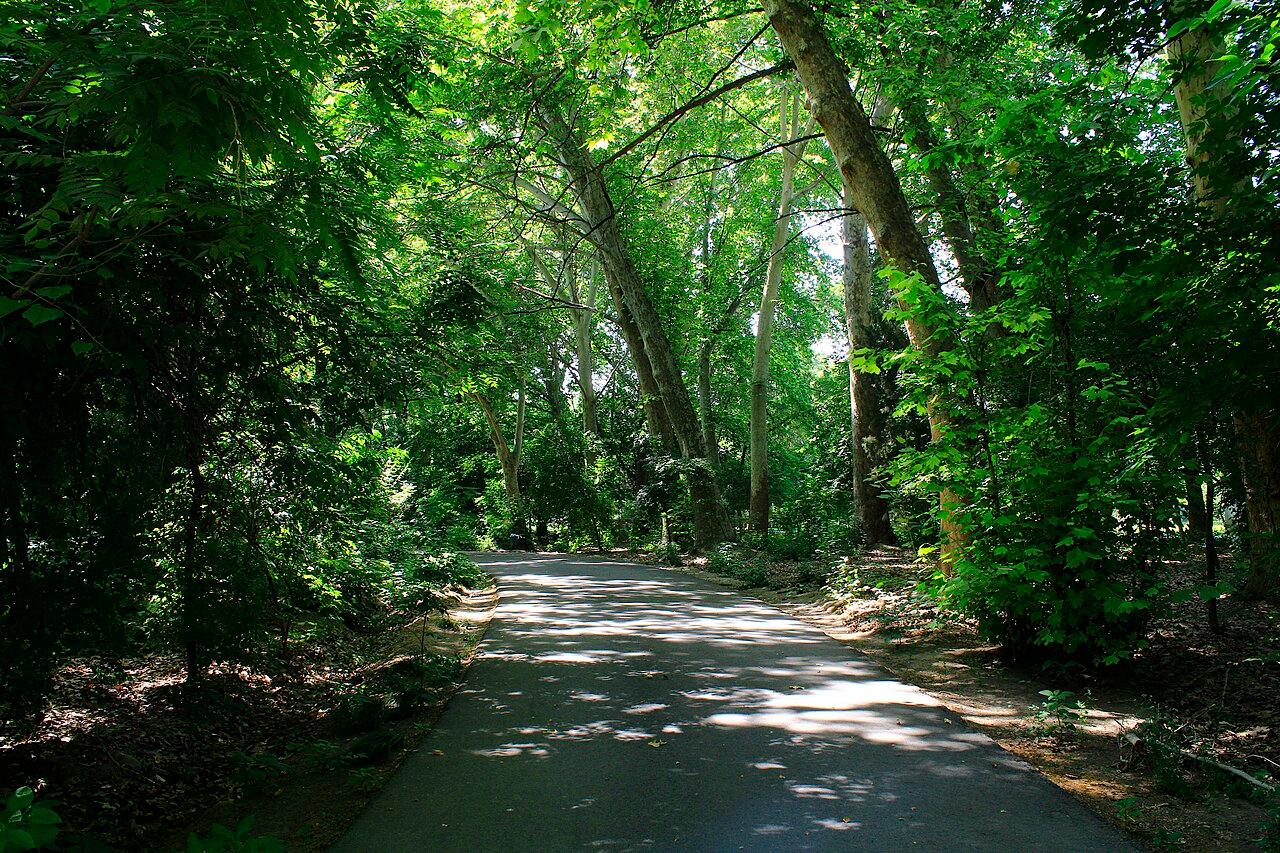 Tashkent: Parks and Nature Walking Tour with Guide 3