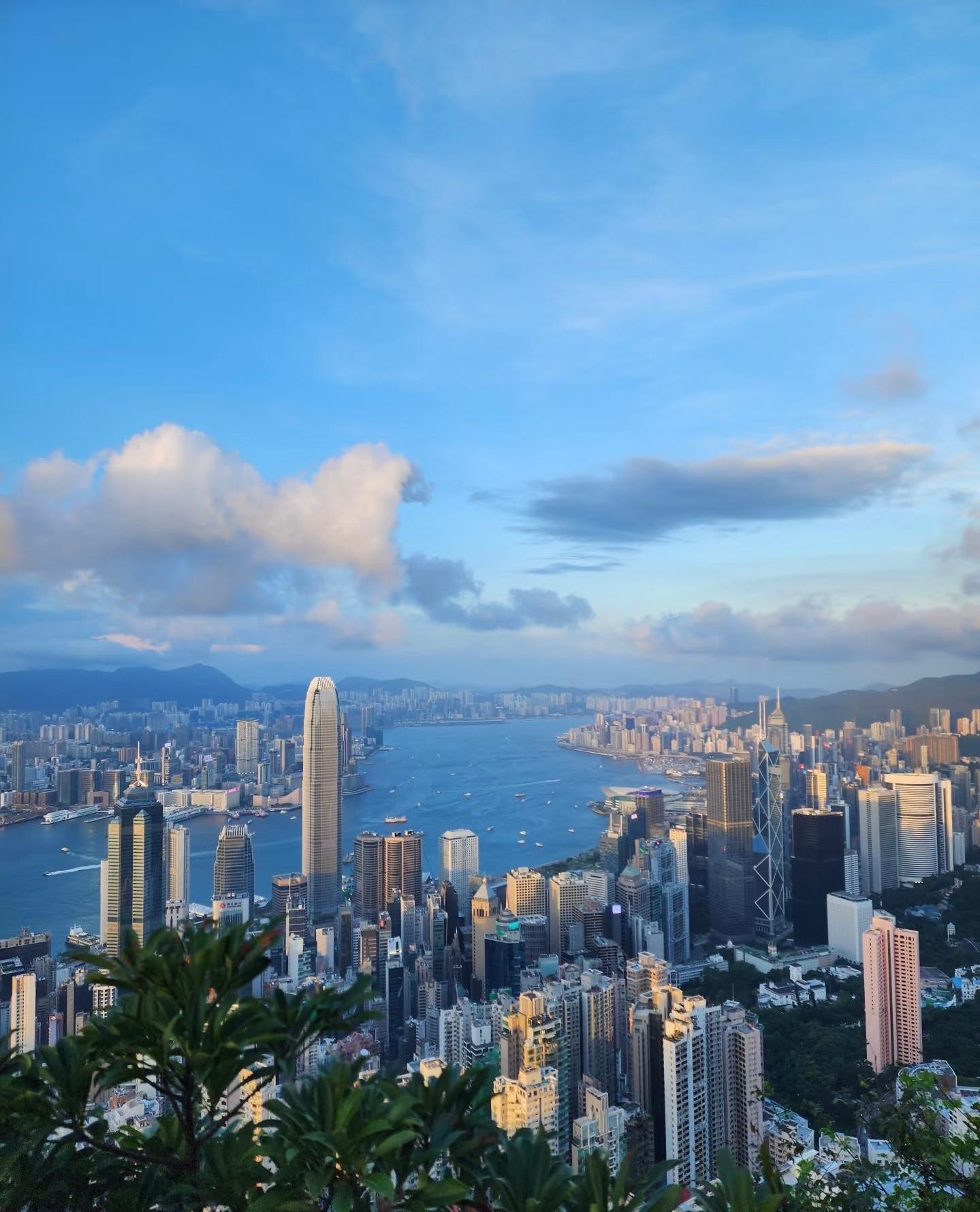 From Shenzhen: Hong Kong Day with Harbour, Peak & Ferry Ride 2