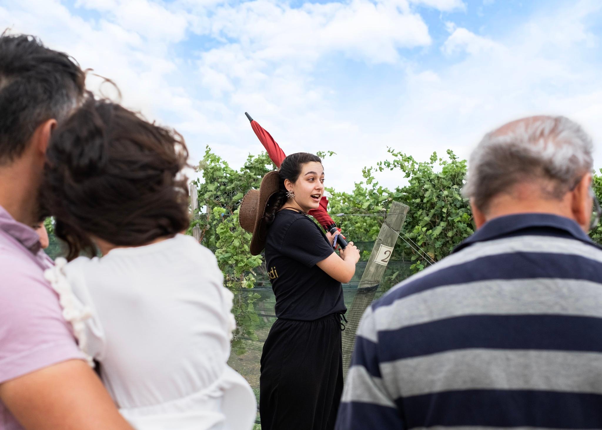 Yerevan: Ashtarak Old Town Tour & Wine Tasting