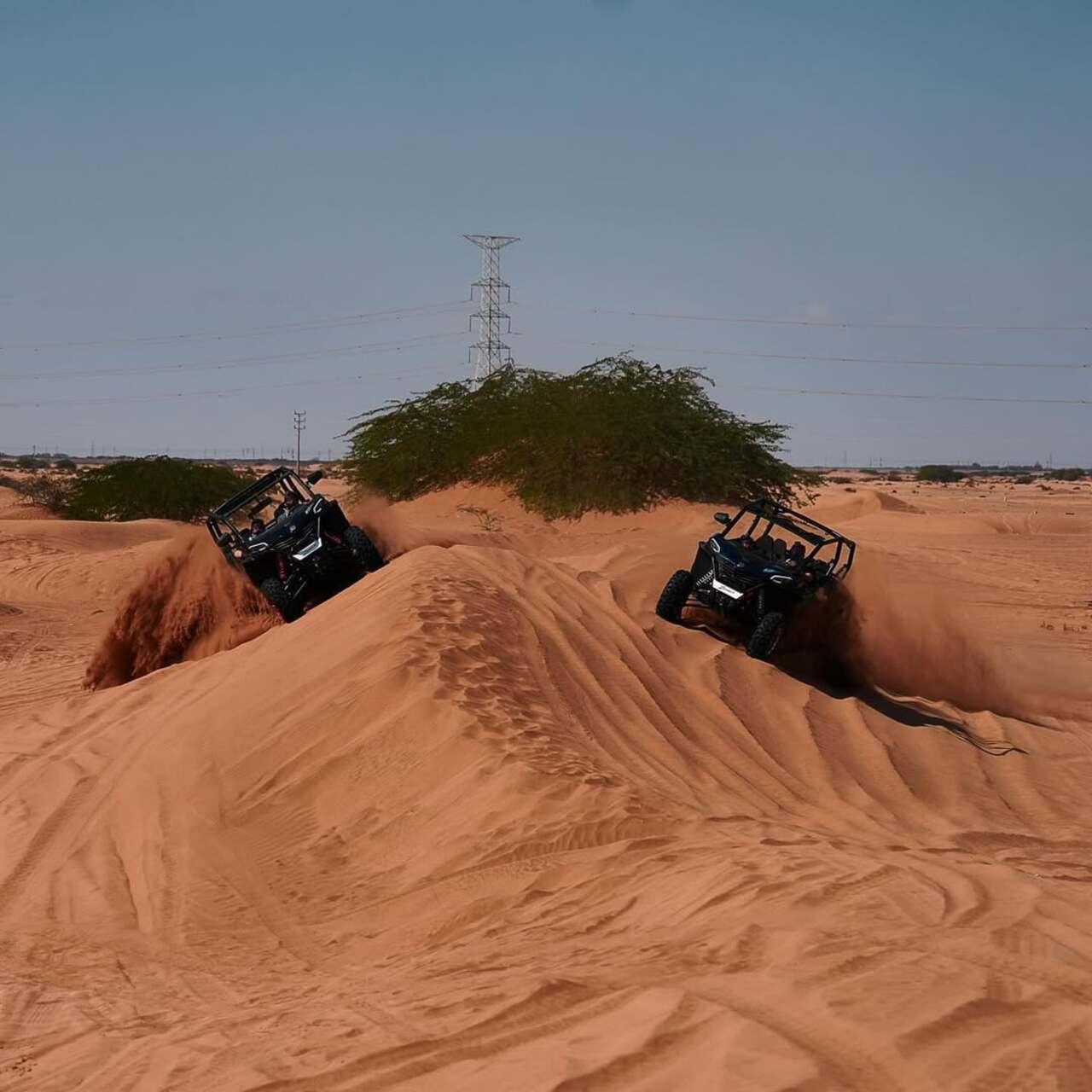 Jeddah: Private Desert Safari, Buggy Ride & Beach Horse Ride
