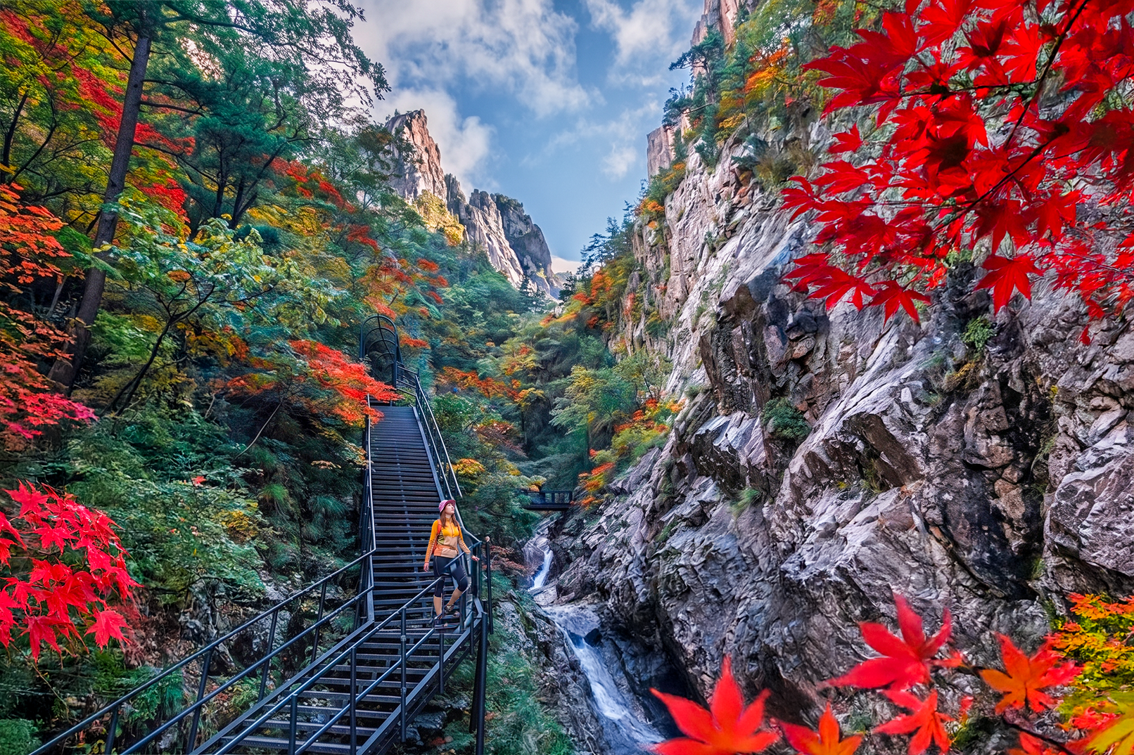 Seoul: Mt.Seorak, Nami Island & Garden of Morning Calm 2