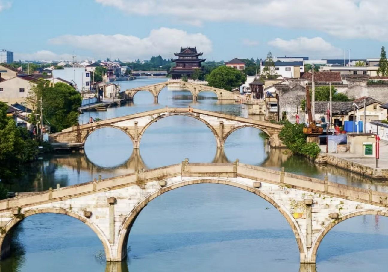 Shanghai: Shuanglin Town & Bonsai Workshop Day Trip