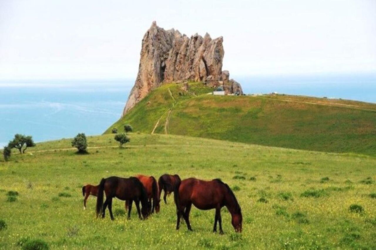 From Baku: Guba, Candy Cane Mountains & Shahdag Day Trip 2