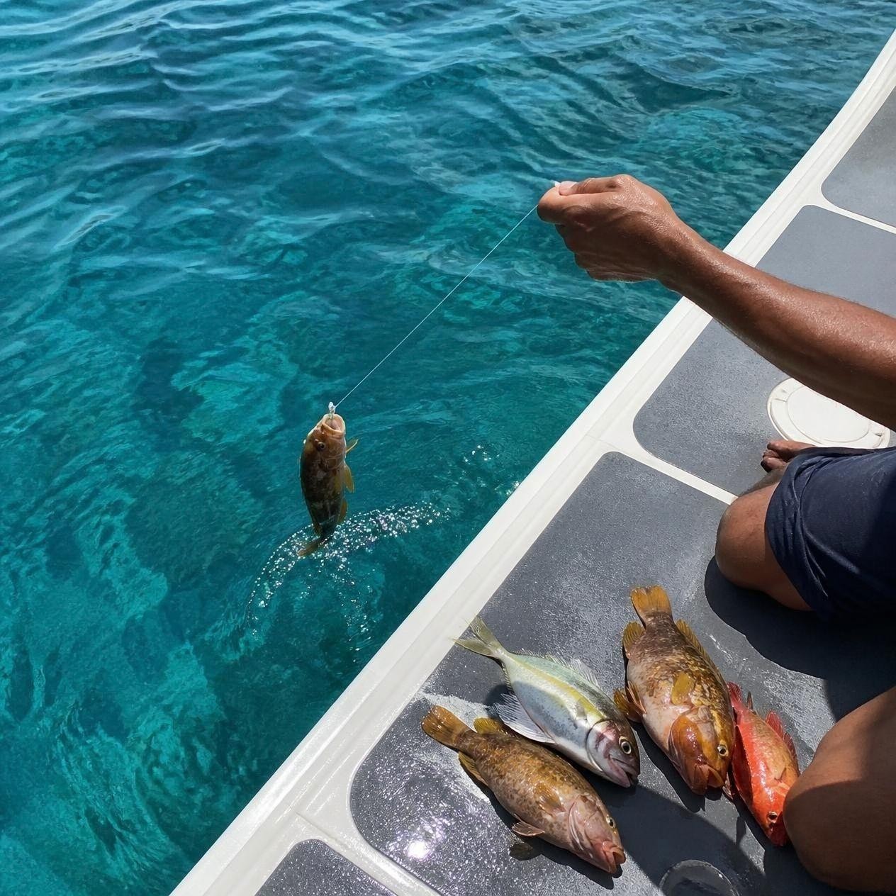 Port Barton: 4-Hour Local Handline Fishing Adventure 3