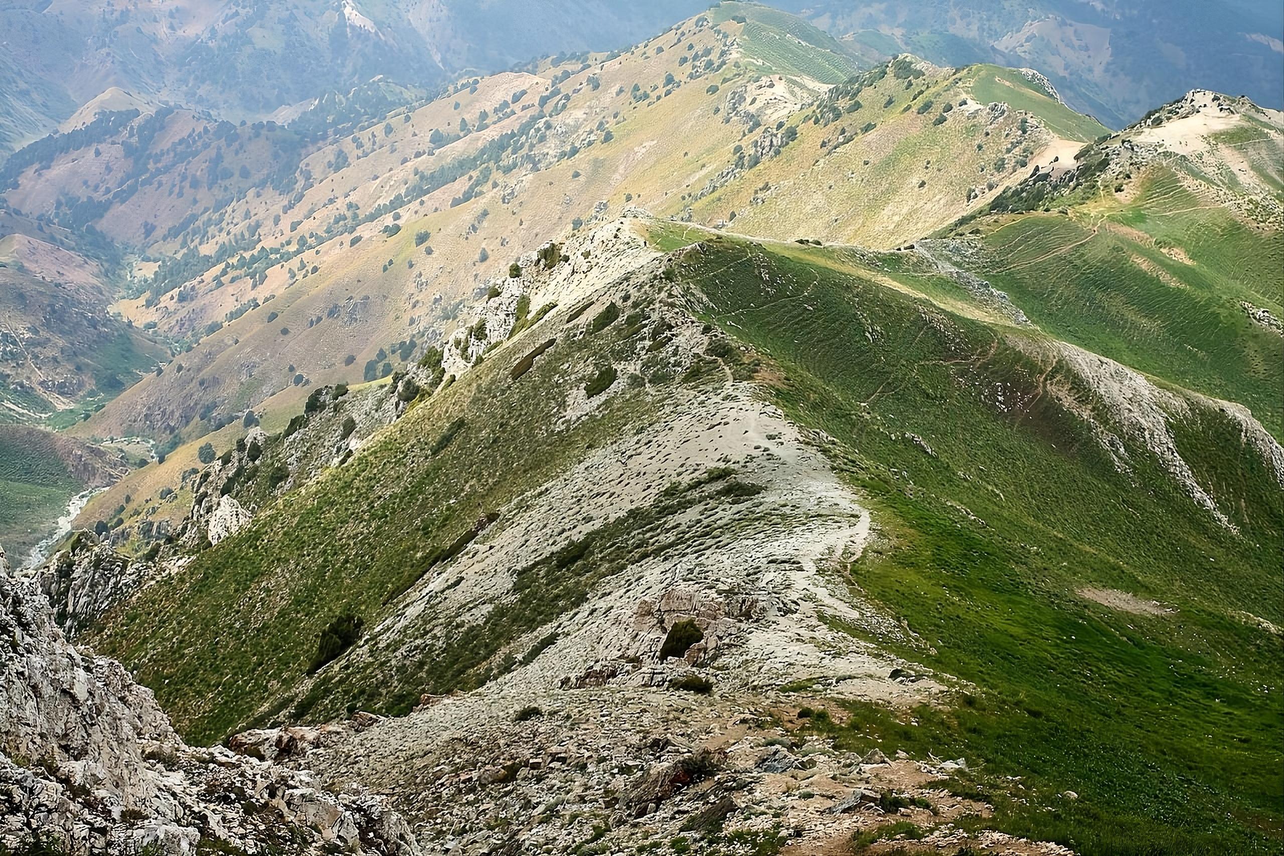 Samarkand: Pangat Mountains, Village & Small Stream Tour 3