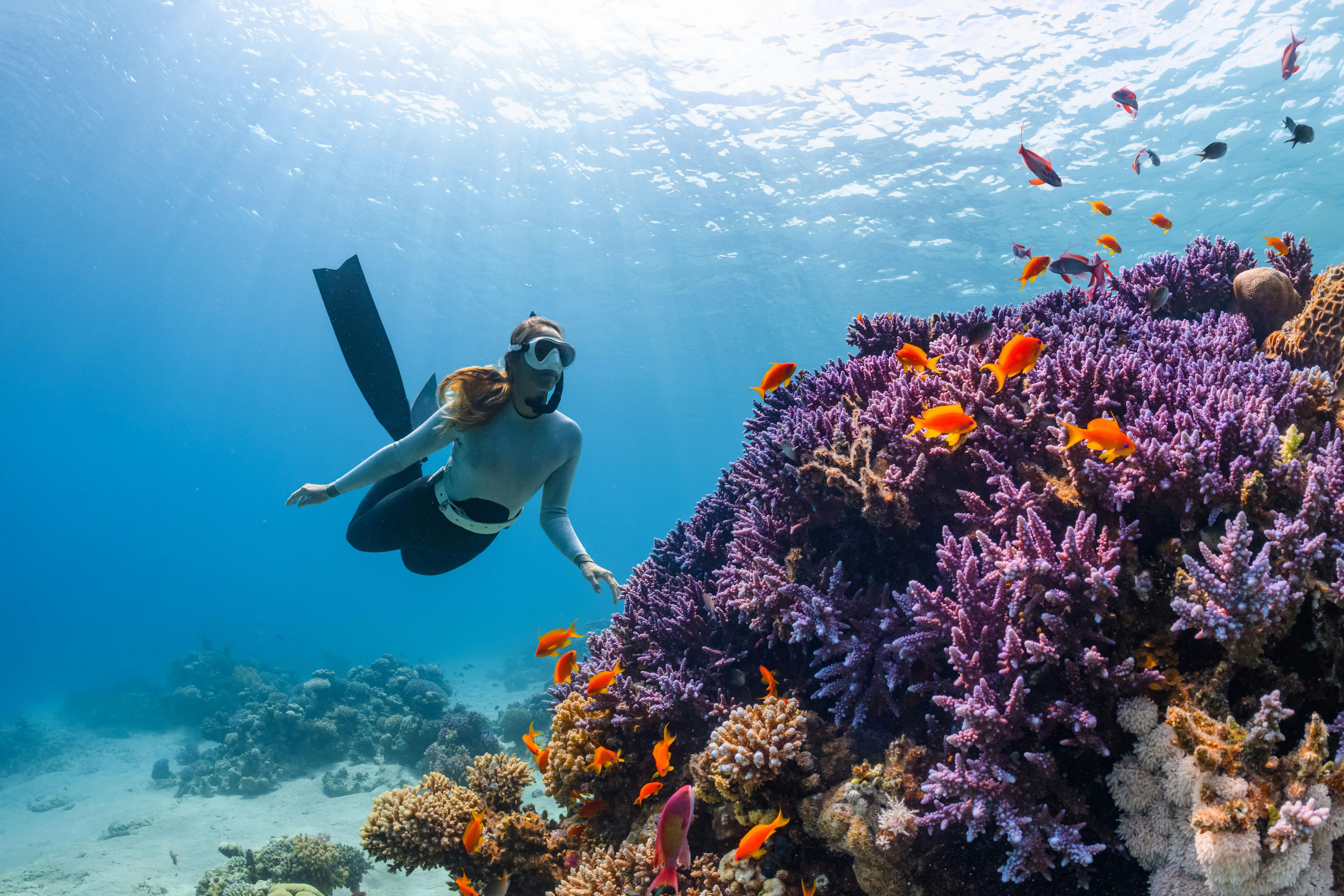 From Jeddah: Private Red Sea Boat Tour to Bayada Island 2