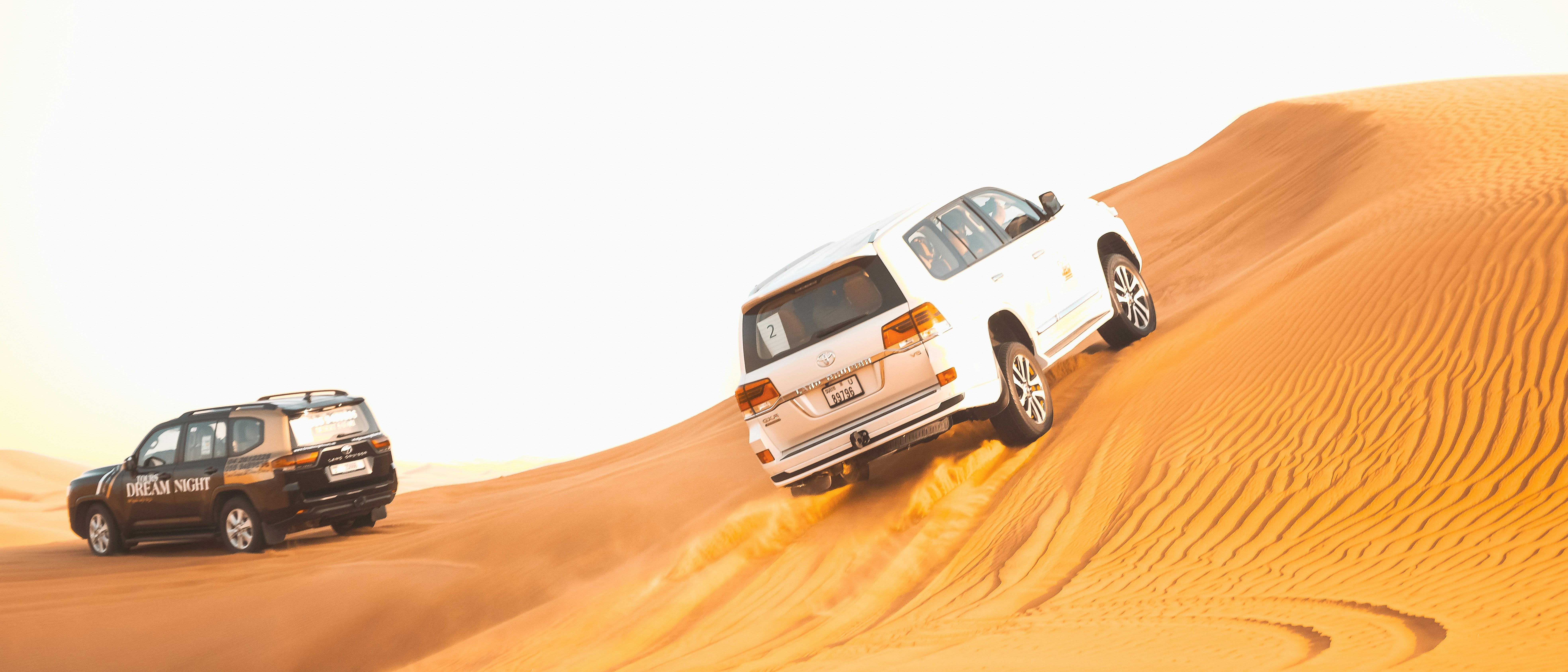 Doha: Safari