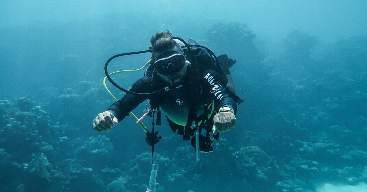 Explore Aqaba's Depths: Scuba Diving Tour, with Hotel Pickup 2