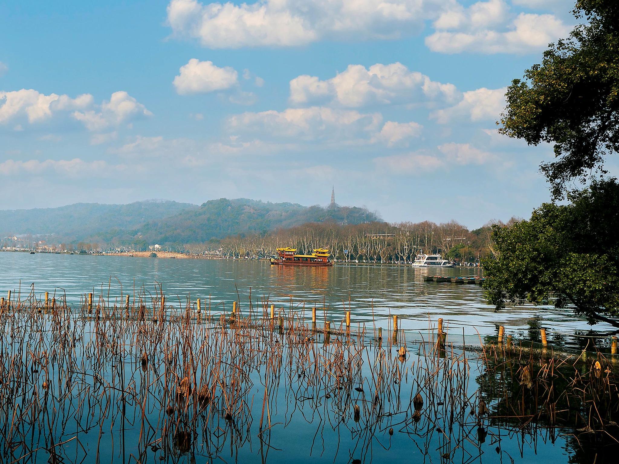 Hangzhou: Private West Lake & Tea Day Trip from Shanghai 3