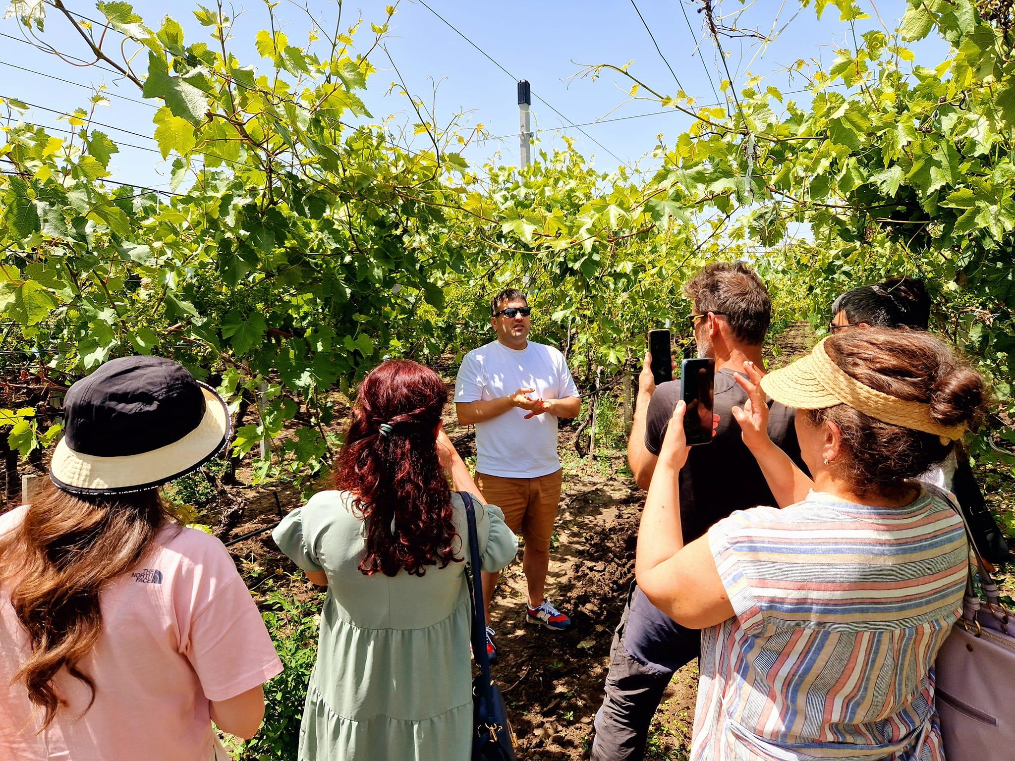From Yerevan: Winery Tour with Wine Tasting and Dinner 2