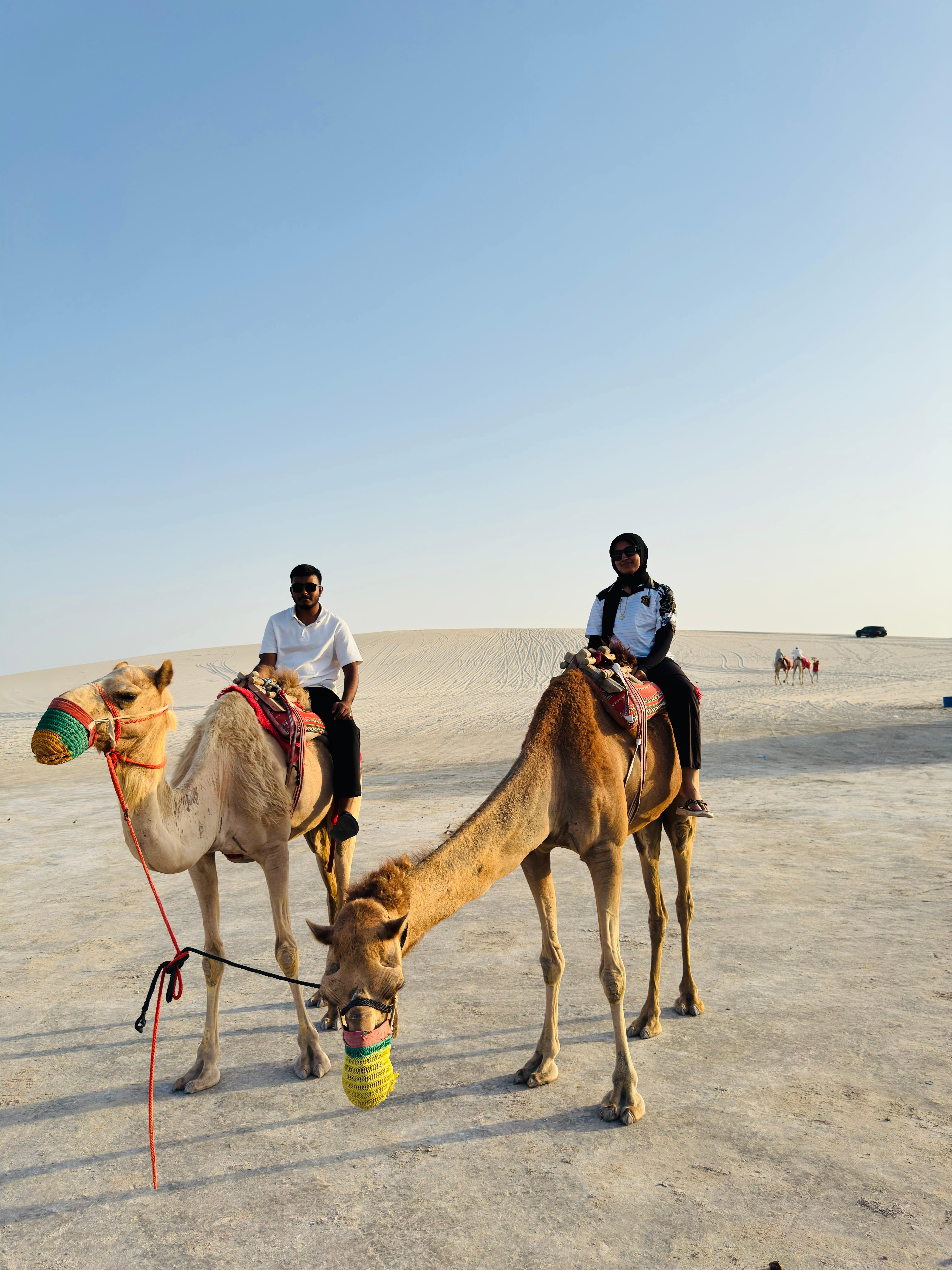Doha: Group Desert Safari with Dune Bashing and Camel Ride