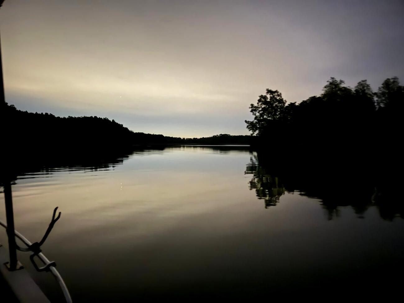 Desaru Private Mangrove Night Cruise & Fireflies Experience 3