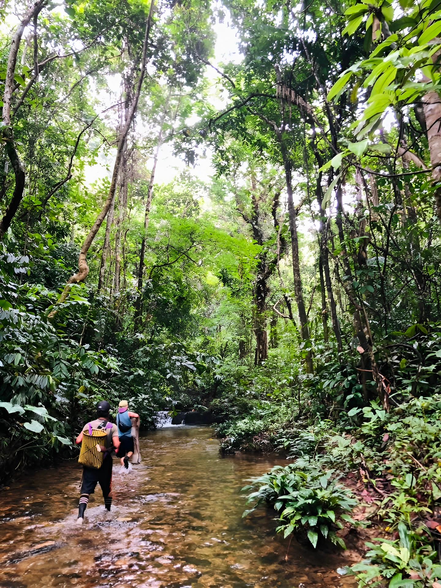 3D2N BATANG AI HEADHUNTERS' LONGHOUSE & RAINFOREST ADVENTURE 2