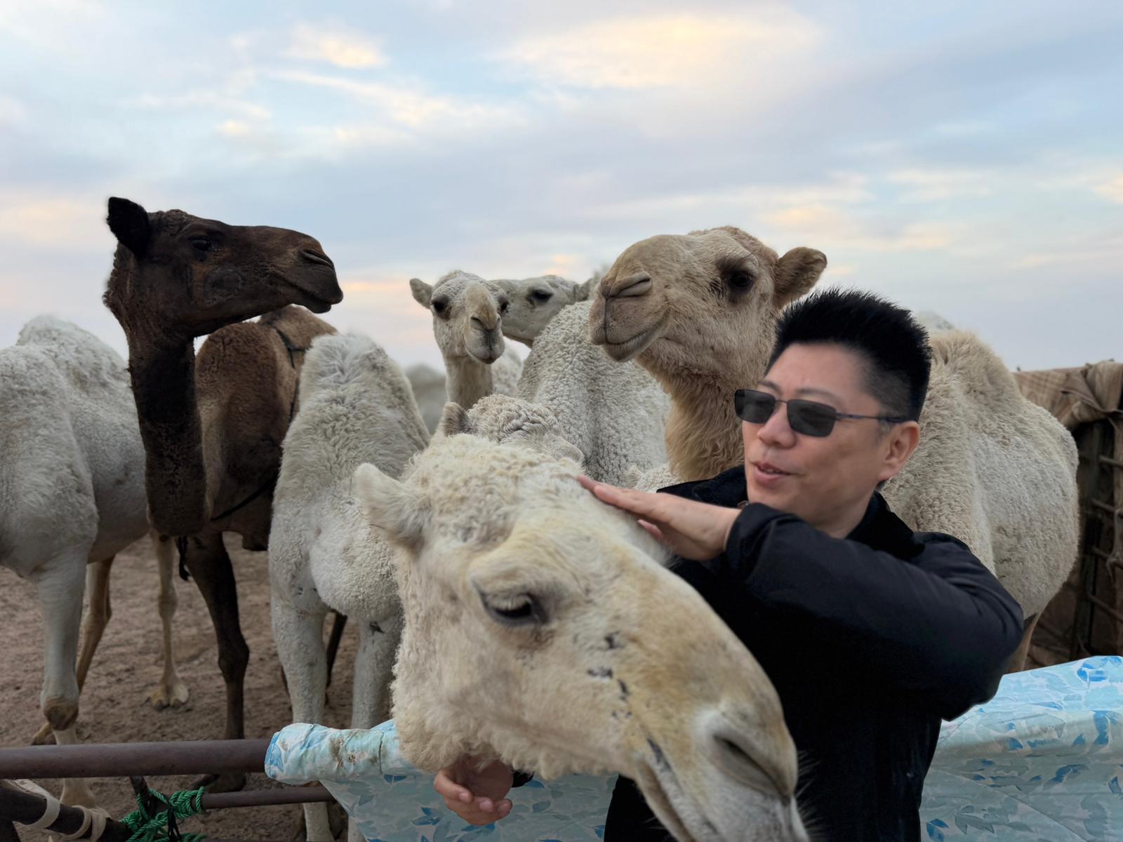 Half Day licensed Tours in Kuwait City & Desert Pick&DropOff 2