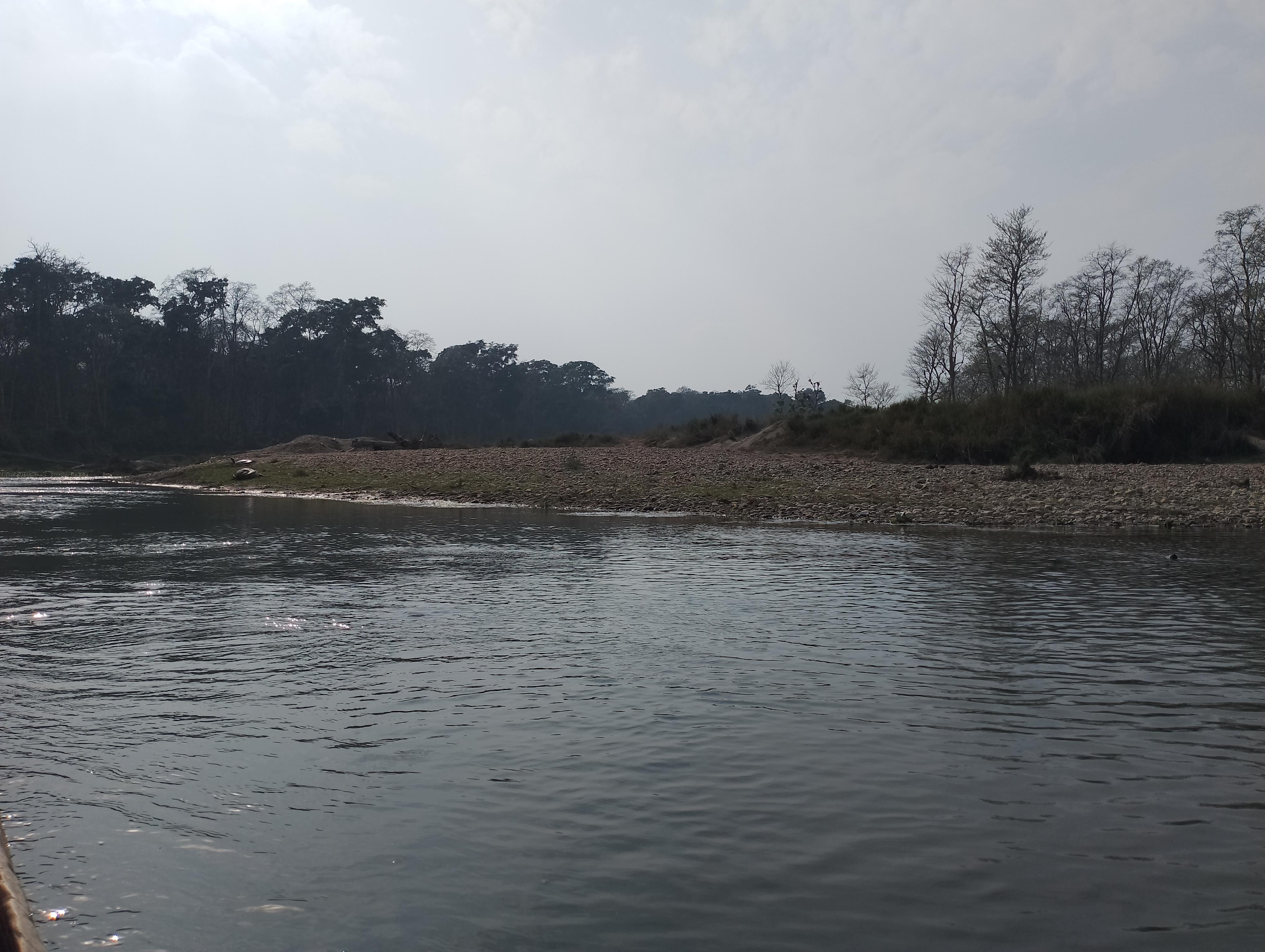 From Kathmandu or Pokhara: 4-Day Chitwan National Park Tour 2