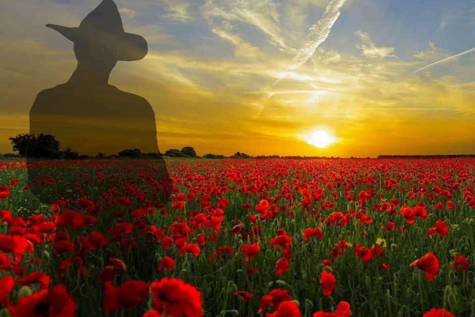 Istanbul: Gallipoli and ANZAC Full-Day Tour 2