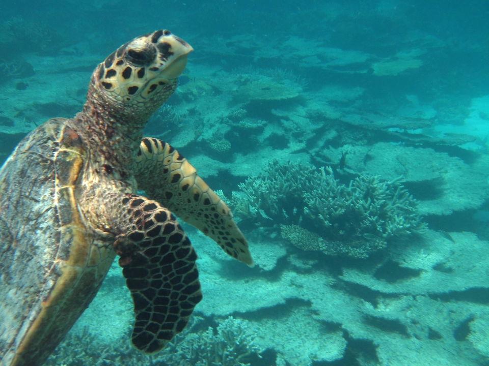 Muscat: Private Fishing Trip with Island BBQ and Snorkeling 3