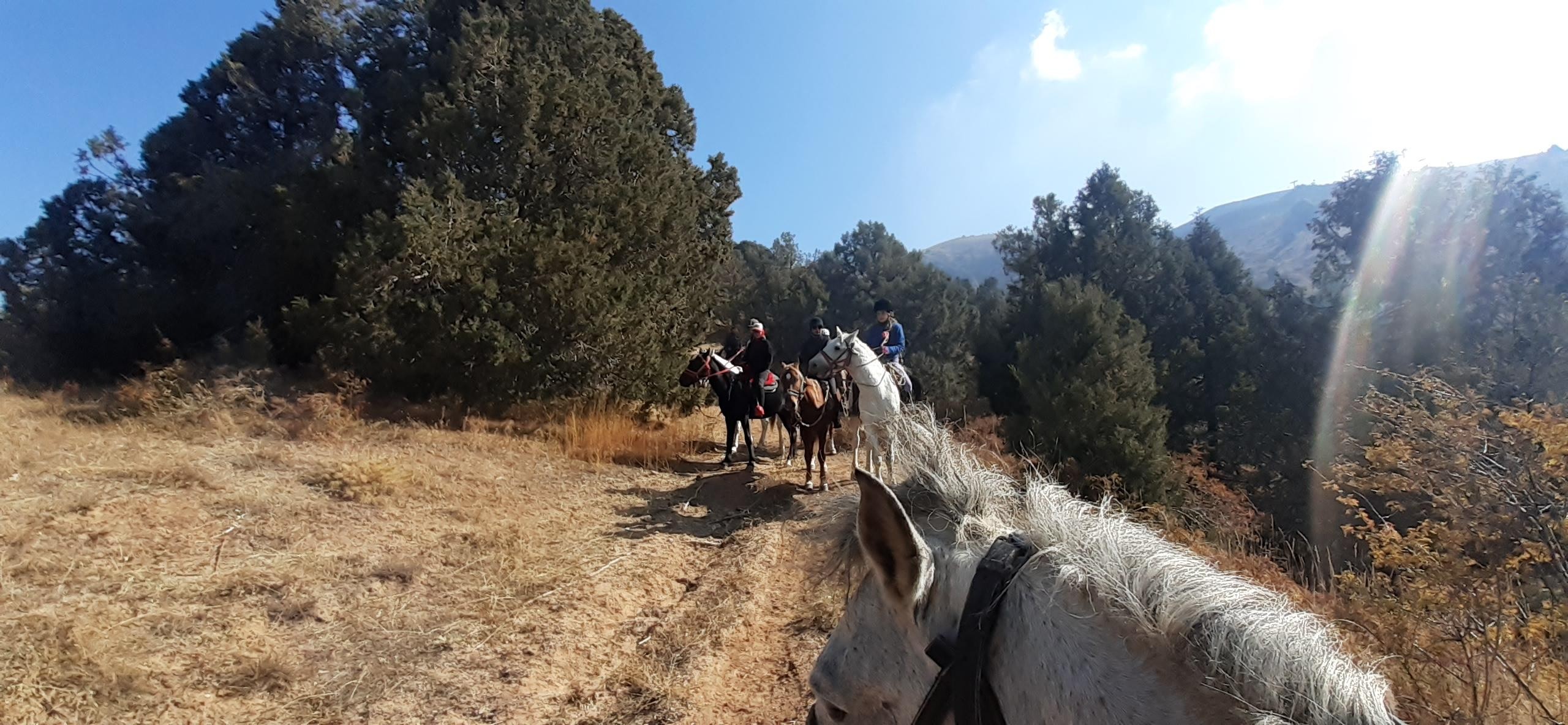 From Tashkent: 3-Day Horseback Tour in Chimgan Mountains