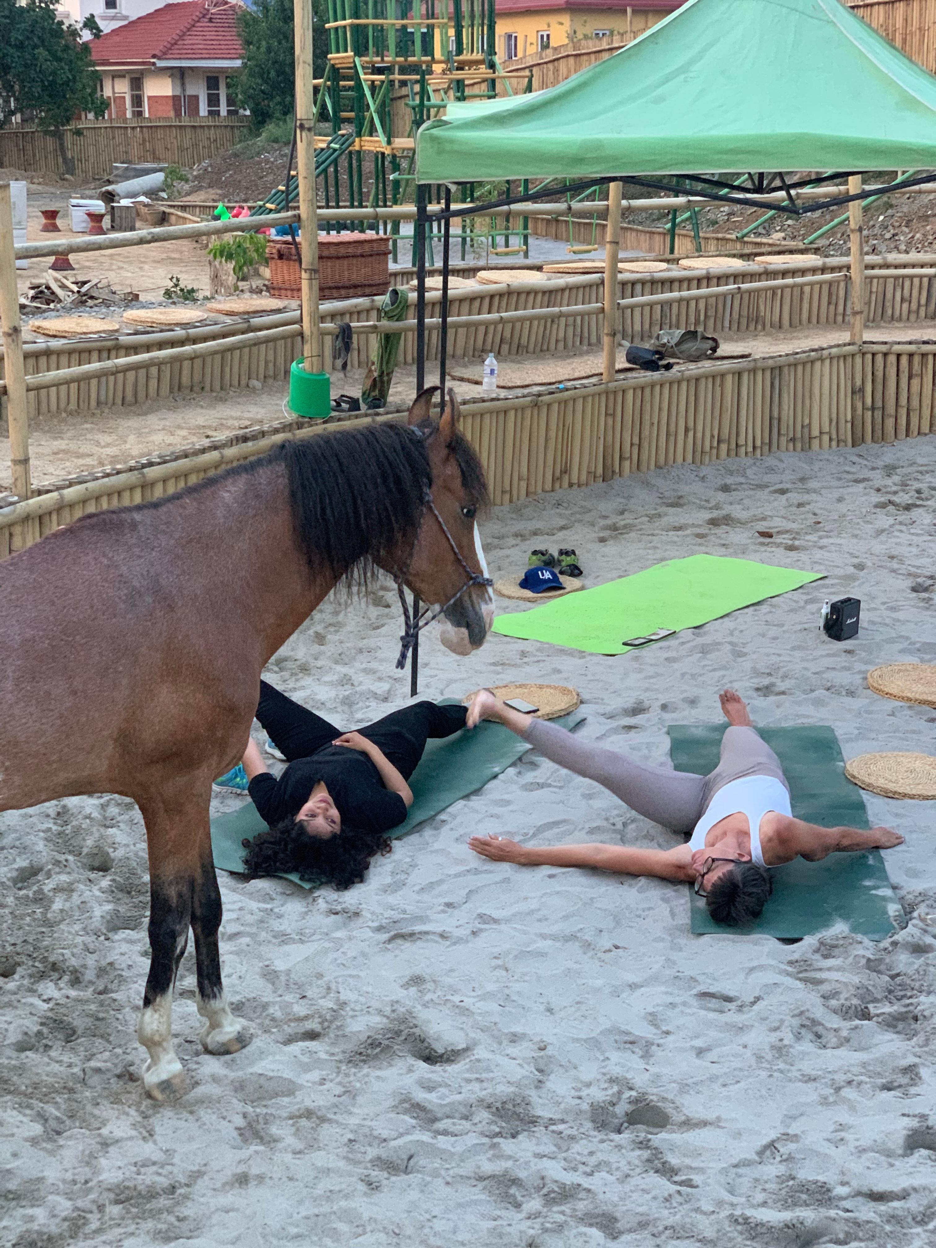 Kathmandu: 5-Day Horse Retreat with Yoga & Meditation 3