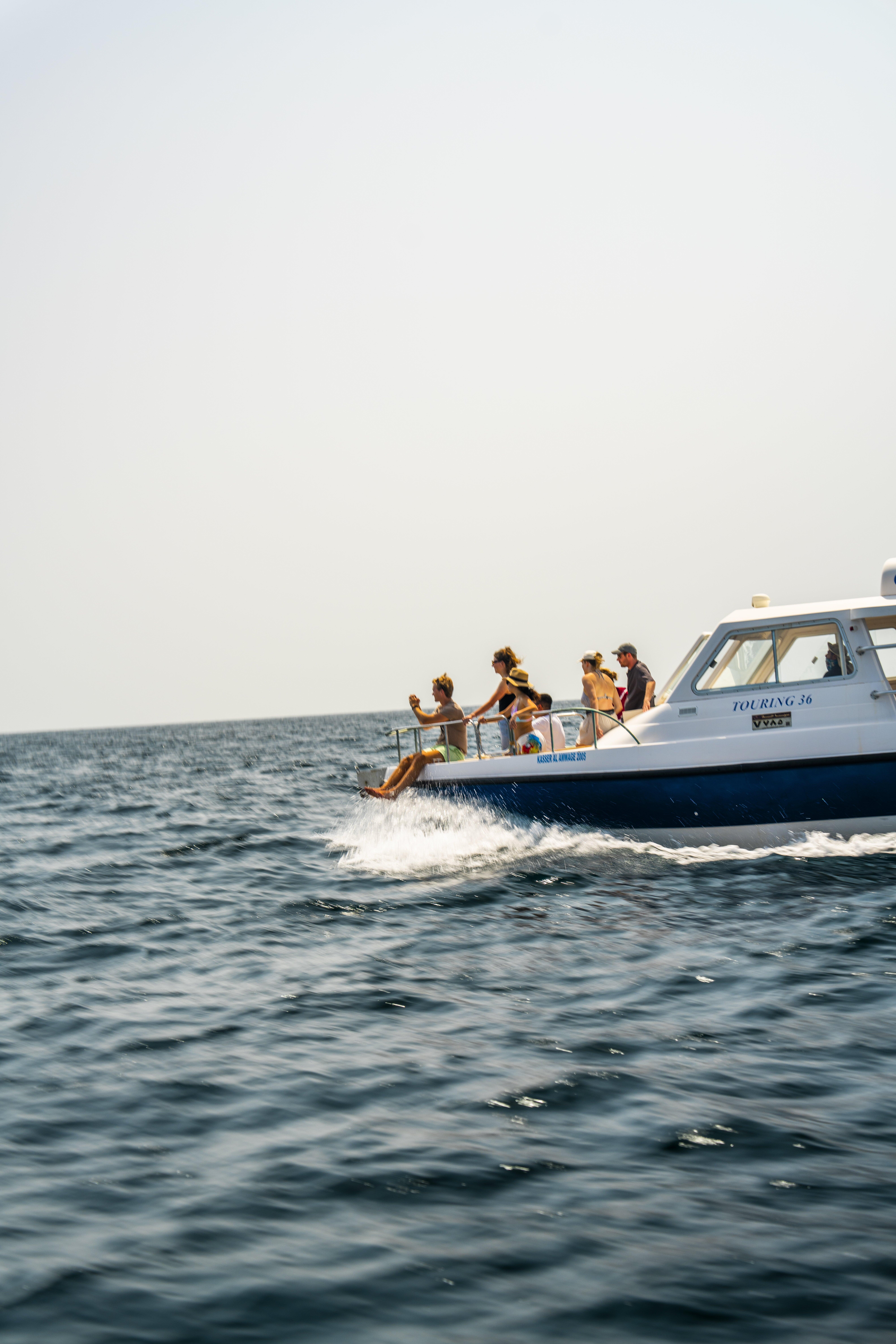 Muscat: Dolphin Watching Boat Trip in Their Natural Habitat 3