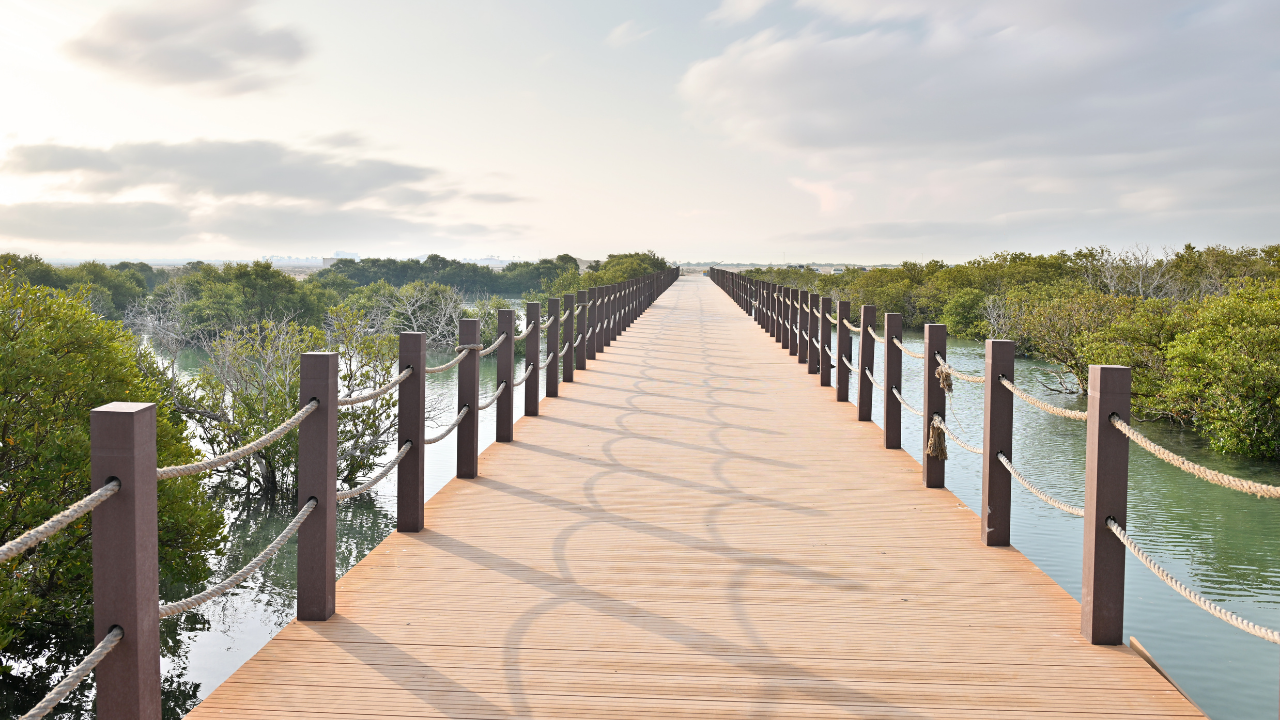 From Doha: Mangrove Kayaking & North Qatar Heritage Tour 3
